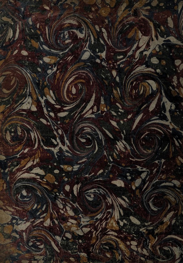 No text description is available for this image