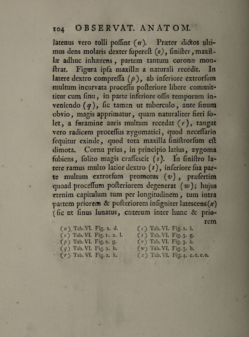 latenus vero tolli poffint («). Procter di<fto$ ulti¬ mus deus molaris dexter fiipereft (o), finifter, maxil¬ las adhuc inhaerens, partem tantum coronae mon- ftrat. Figura ipfa maxillae z naturali recedit. In latere dextro compreffa (p), ab inferiore extrorfum multum incurvata proceffu pofteriore libere commit¬ titur cum finu, in parte inferiore offis temporum in¬ veniendo (^), fic tamen ut tuberculo, ante finum obvio, magis apprimatur, quam naturaliter fieri fb- let, a foramine auris multum recedat (V), tangat vero radicem procefliis zygomatici, quod neceffario fequitur exinde, quod tota maxilla finiftrorfiim eft dimota. Cornu prius, in principio latius, zygoma fubiens, folito magis craffescit (j). In finiftro la¬ tere ramus multo latior dextro (*), inferiore fua par¬ te multum extrorfum promotus (v) , praefertim quoad proceffum pofteriorem degenerat ( w ); hujus etenim capitulum tum per longitudinem, tum intra partem priorem & pofleriorem infigniter latescens(x) (fic nt finus lunatus, eseterum inter hunc & prio¬ rem (/;) Tab.VI. Fig. 2. d. (0) Tab.VI. Fig. 1. 2. 1 QO Tab.VI. Fig.2. g. (?) Tab.VI. Fig. 2. h. OO Tab.VI. Fig. 2. k. c s ) Tab. VI. Fig. 2. i. (f) Tab.VI. Fig. 3. g. (v) Tab.VI. Fig. 3. k. (w) Tab.VI. Fig. 3. h. (x) Tab.VI. Fig.4. c.c.e.e.