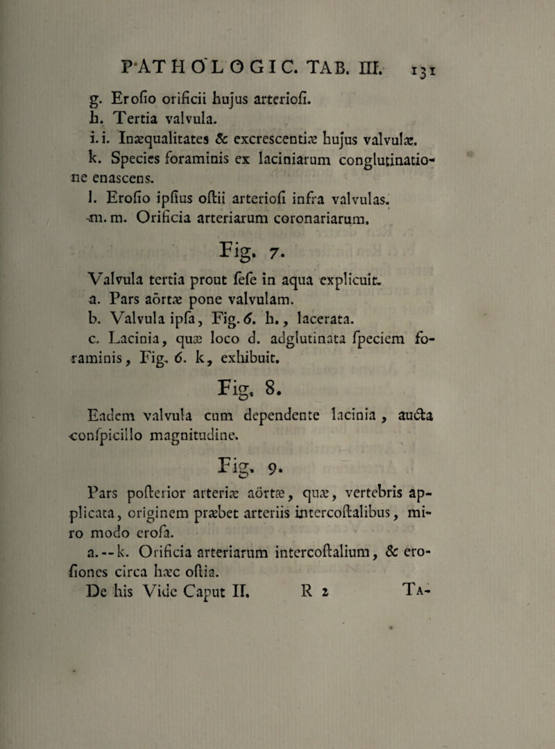 g. Erofio orificii hujus arteriofi. h. Tertia valvula. i. i. Inaequalitates & excrescentia hujus valvula. k. Species foraminis ex laciniarum conglutinatio¬ ne enascens. l. Erofio ipfius oftii arteriofi infra valvulas. 4ii. m. Orificia arteriarum coronariarum, Fig. 7. Valvula tertia prout lefe in aqua explicuit a. Pars aortae pone valvulam. b. Valvula ipfa, Fig. 6. h., lacerata. c. Lacinia, quae loco d. adglutinata fpeciem fo¬ raminis, Fig, 6. k, exhibuit, Fig, 8. Eadem valvula cum dependente lacinia , audta confpicillo magnitudine, Fig, 9. Pars pofterior arteriae aortae, quae, vertebris ap¬ plicata, originem probet arteriis intercoftalibus, mi¬ ro modo crofa. a.--k. Orificia arteriarum intercoftalium, 8c ero- fiones circa ha?c oftia. De his Vide Caput II. R z Ta-