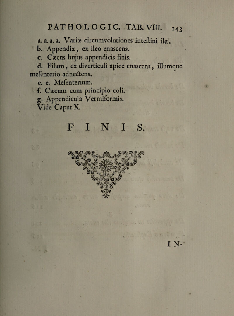 a. a. a. a. Variae circumvolutiones inteftini ilei. b. Appendix, ex ileo enascens. c. Caecus hujus appendicis finis. d. Filum, ex diverticuli apice enascens, iliumque mefenterio adne&ens. e. e. Mefenterium. f. Caecum cum principio coli. g. Appendicula Vermiformis. Vide Caput X. FINIS.