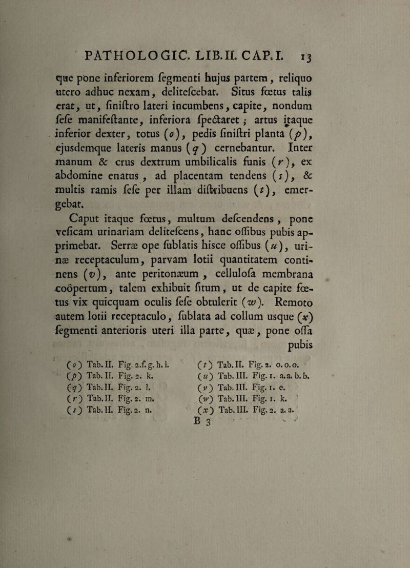 que pone inferiorem Tegmenti hujus partem, reliquo utero adhuc nexam, delitefcebat. Situs foetus talis erat, ut, finiftro lateri incumbens, capite, nondum fefe manifcftante, inferiora fpe&aret ,• artus itaque inferior dexter, totus (0), pedis finiftri planta (p), ejusdemque lateris manus (y) cernebantur. Inter manum 8c crus dextrum umbilicalis funis (r), ex abdomine enatus, ad placentam tendens (s), 8c multis ramis fefe per illam difttibuens (*), emer¬ gebat. Caput itaque foetus, multum defcendens , pone veficam urinariam delitefcens, hanc offibus pubis ap¬ primebat. Serrae ope fublatis hisce offibus (u)y uri¬ nae receptaculum, parvam lotii quantitatem conti¬ nens (v)y ante peritoneum , cellulofa membrana coopertum, talem exhibuit fi tum, ut de capite foe¬ tus vix quicquam oculis fele obtulerit (w). Remoto autem lotii receptaculo, fublata ad collum usque (at) fegmenti anterioris uteri illa parte, quae, pone offa pubis (0) Tab. II. Fig. 2.f. g. h. i. (/>) Tab. IT. Fig. 2. k. Tab.II. Fig. 2. I. ( r ) Tab. II. Fig. 2. m. (j) Tab. II. Fig. 2. n. (O Tab. II. Fig. 2. 0.0.0. (T/) Tab. III. Fig. 1. a.a. b.b. (v) Tab.III. Fig. 1. e. O) Tab. III. Fig. 1. k. 1 (tf) Tab.III. Fig.2. a.a. B 3 *
