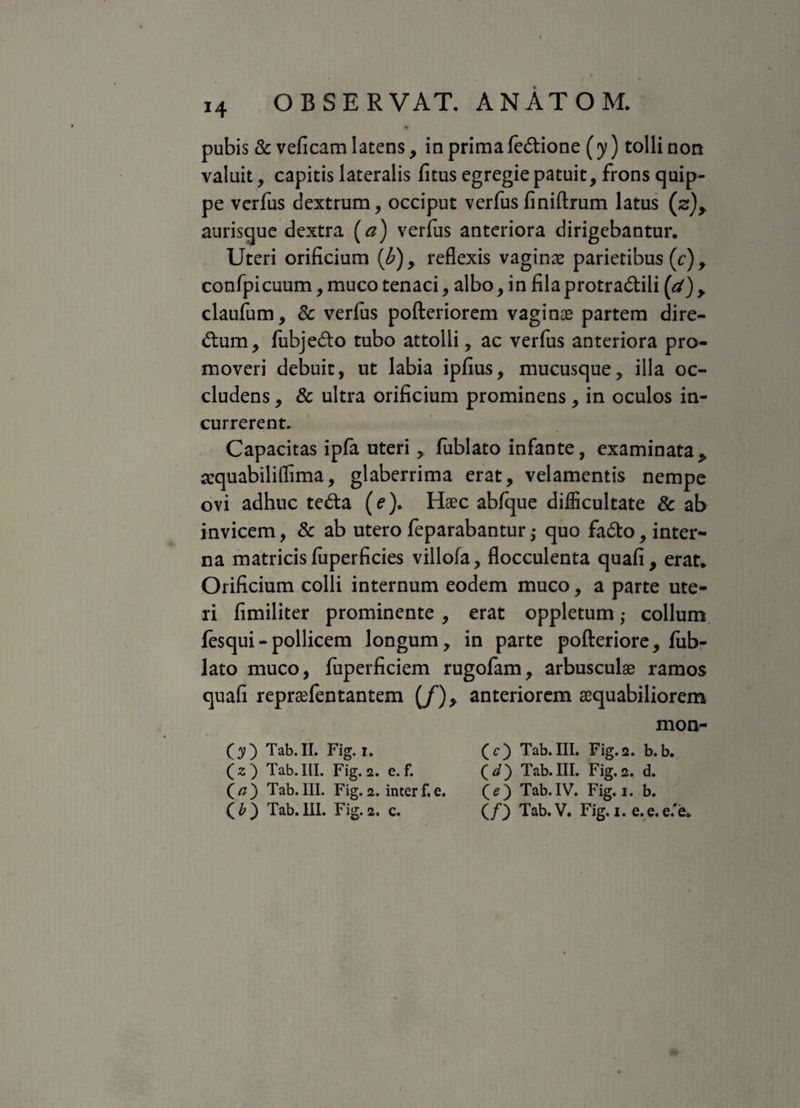 pubis & veficam latens, in prima fe&ione (y) tolli non valuit, capitis lateralis fitus egregie patuit, frons quip¬ pe verfus dextrum, occiput verfusfiniftrum latus (s), aurisque dextra (a) verfus anteriora dirigebantur. Uteri orificium [b) , reflexis vaginas parietibus (c), confpicuum, muco tenaci, albo, in fila protradtili ('d) , claufum, & verfus pofteriorem vagina partem dire¬ ctum, fubje&o tubo attolli, ac verfus anteriora pro¬ moveri debuit, ut labia ipfius, mucusque, illa oc¬ cludens , & ultra orificium prominens, in oculos in¬ currerent. Capacitas ipfa uteri, fublato infante, examinata> aequabiliflima, glaberrima erat, velamentis nempe ovi adhuc tedta (e). Haec abfque difficultate & ab invicem, & ab utero feparabantur ,* quo fadto, inter¬ na matricis fuperficies villofa, flocculenta quafi, erat. Orificium colli internum eodem muco, a parte ute¬ ri fimiliter prominente, erat oppletum • collum fesqui - pollicem longum, in parte pofteriore, fub¬ lato muco, fuperficiem rugofam, arbusculae ramos quafi repraefentantem (/)> anteriorem aequabiliorem mon- O) Tab.II. Fig.i. (z) Tab.IlI. Fig.2. e.f. (tf) Tab.IlI. Fig.2. interf.e. Tab.III. Fig.2. c. (c) Tab. III. Fig.2. b. b. Tab.IlI. Fig.2. d. (e) Tab.IV. Fig.i. b. (/) Tab.V. Fig. i. e. e. e.'e.