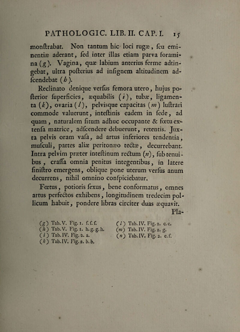 'S monftrabat. Non tantum hic loci rugae, feu emi¬ nentiae aderant, fed inter illas etiam parva forami¬ na (g). Vagina, quae labium anterius ferme adtin- gebat, ultra pofterius ad inlignem altitudinem ad- fcendebat (h). Reclinato denique verfus femora utero, hujus po- llerior fuperficies, aequabilis (/), tubae, ligamen¬ ta (/£), ovaria (/.), pelvisque capacitas (m) luftrari commode valuerunt, inteftinis eadem in fede, ad quam , naturalem litum adhuc occupante & foetuex- tenfa matrice, adfcendere debuerunt, retentis. Jux¬ ta pelvis oram vafa, ad artus inferiores tendentia, mufculi, partes aliae peritonaeo te&ae, decurrebant. Intra pelvim praeter inteftinum re&um (#), fub tenui¬ bus , cralfa omnia penitus integentibus, in latere liniftro emergens, oblique pone uterum verius anum decurrens, nihil omnino confpiciebatur. Foetus, potioris fexus, bene conformatus, omnes artus perfedtos exhibens, longitudinem tredecim pol¬ licum habuit, pondere libras circiter duas a?quavir. Pla- (g) Tab. V. Fig. i. f.f.f. (/) Tab.IV. Fig.2. c.c. ( h ) Tab. V. Fig. 1. h. g. g. h. (m) Tab. IV. Fig. 2. g. (i) Tab. IV. Fig. 2. a. (») Tab. IV. Fig. 2. e. f. (&) Tab.IV. Fig.2. b.b.