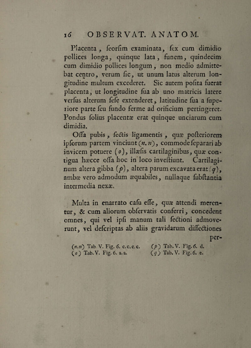 Placenta , feorfim examinata, fex cum dimidio pollices longa, quinque lata, funem, quindecim cum dimidio pollices longum, non medio admitte¬ bat centro, verum fic, ut unum latus alterum lon¬ gitudine multum excederet. Sic autem pofita fuerat placenta, ut longitudine fua ab uno matricis latere verfus alterum fefe extenderet > latitudine fua a fupe- riore parte feu fundo ferme ad orificium pertingeret. Pondus folius placentae erat quinque unciarum cum dimidia. Offa pubis, fedtis ligamentis , quas pofteriorem ipforum partem vinciunt (*/.»), commodefeparari ab invicem potuere (o), illaefis cartilaginibus, qua: con* tigua haecce offa hoc in loco inveftiunt. Cartilagi¬ num altera gibba (/>), altera parum excavata erat (q)9 ambae vero admodum aequabiles, nullaque fubftantia intermedia nexas. Multa in enarrato cafu effe, quae attendi meren¬ tur, & cum aliorum obfervatis conferri, concedent omnes, qui vel ipfi manum tali fe&ioni admove¬ runt, vel defcriptas ab aliis gravidarum diffe&iones per- (n.n) Tab V. Fig. 6. c. c.c, c. (p') Tab. V. Fig. 6. d. (0) Tab.V. Fig. 6. a.a. Qg) Tab. V. Fig.6. e.