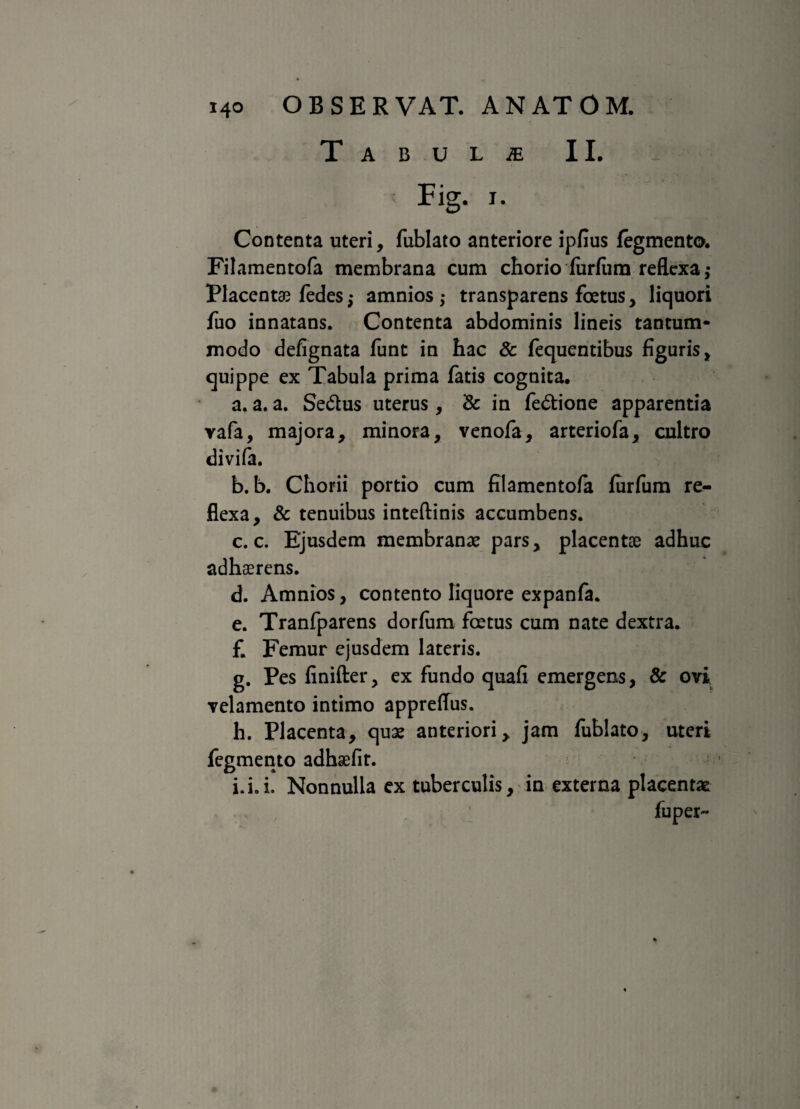 Tabula II. Fig. i. Contenta uteri, fublato anteriore ipfius fegmento. Filamentofa membrana cum chorio furfiim reflexa ,• Placent® fedes ,* amnios ; transparens foetus, liquori fuo innatans. Contenta abdominis lineis tantum¬ modo defignata funt in hac & fequentibus figuris, quippe ex Tabula prima fatis cognita. a. a. a. Se&us uterus, & in fe&ione apparentia vafa, majora, minora, venofa, arteriofa, cultro divifa. b. b. Chorii portio cum filamentofa fiirfum re¬ flexa, & tenuibus inteftinis accumbens. c. c. Ejusdem membranae pars, placent® adhuc adh®rens. d. Amnios, contento liquore expanfa. e. Tranfparens dorfum foetus cum nate dextra. £ Femur ejusdem lateris. g. Pes finifter, ex fundo quafi emergens, & ovi velamento intimo appreffus. h. Placenta, quae anteriori, jam fublato, uteri fegmento adh®lir. i. i.i. Nonnulla ex tuberculis, in externa placentae fuper-