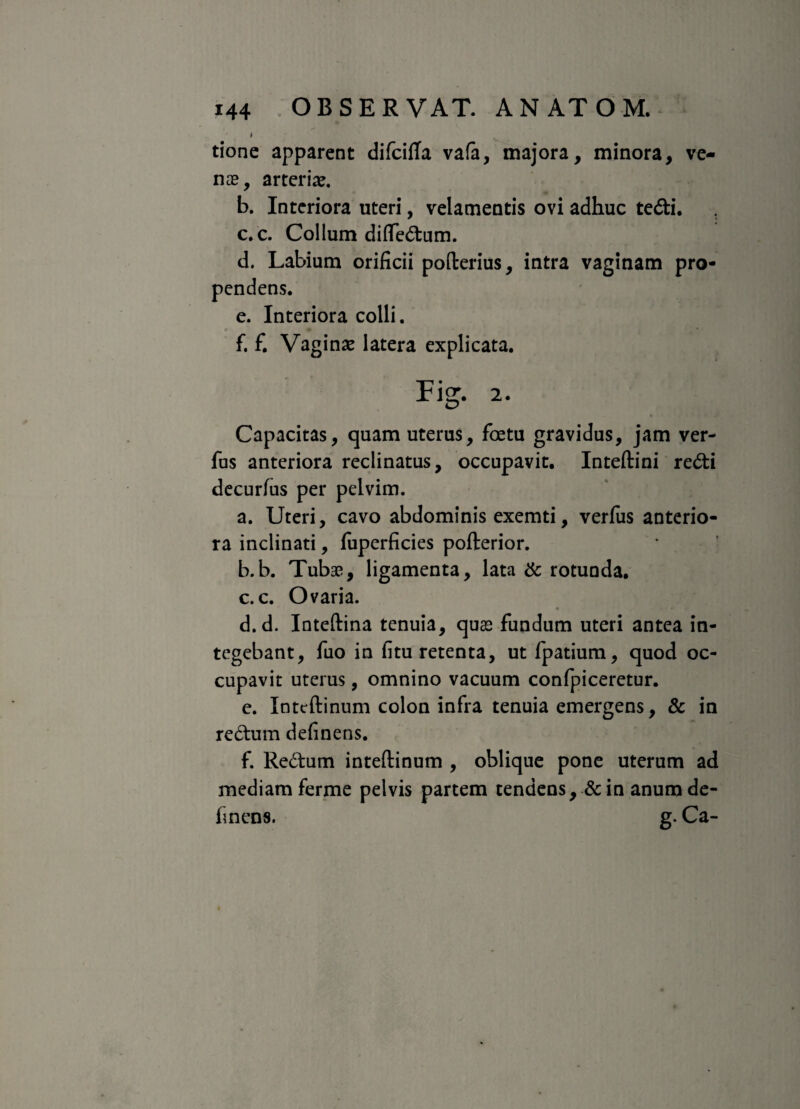 I tione apparent difcilTa vafa, majora, minora, ve¬ nte, arteria?. b. Interiora uteri, velamentis ovi adhuc tedi. c. c. Collum differtum. d. Labium orificii pofterius, intra vaginam pro- e. Interiora colli. f. f. Vagina? latera explicata. Fig. 2. Capacitas, quam uterus, foetu gravidus, jam ver- fus anteriora reclinatus, occupavit. Inteftini redi decurfus per pelvim. a. Uteri, cavo abdominis exemti, verfus anterio¬ ra inclinati, fuperficies pofterior. b. b. Tubae, ligamenta, lata & rotunda. c. c. Ovaria. ♦ * d. d. Inteftina tenuia, quae fundum uteri antea in¬ tegebant, fuo in fitu retenta, ut fpatium, quod oc¬ cupavit uterus, omnino vacuum confpiceretur. e. Intcftinum colon infra tenuia emergens, & in redum definens. f. Redum inteftinum , oblique pone uterum ad mediam ferme pelvis partem tendens, & in anum de¬ finens. g. Ca-