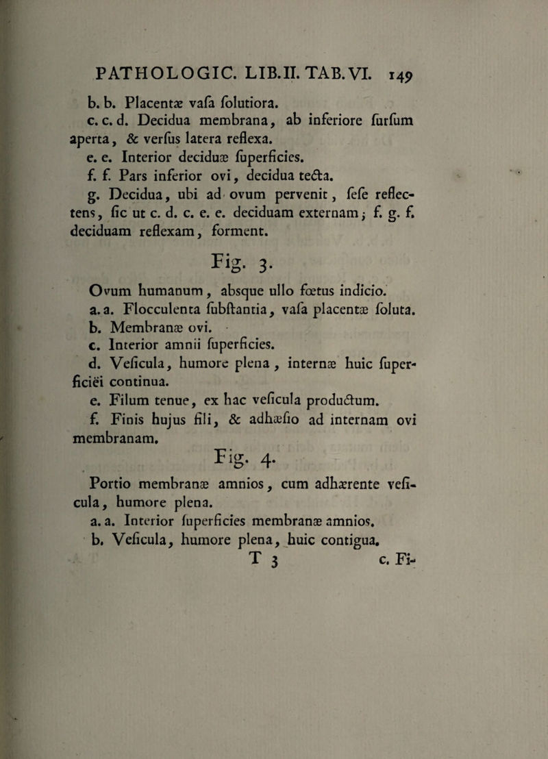 b. b. Placentas vafa lblutiora. c. c. d. Decidua membrana, ab inferiore furfum aperta, 8c verfus latera reflexa. e. e. Interior deciduas fuperficies. f. f. Pars inferior ovi, decidua te&a. g. Decidua, ubi ad-ovum pervenit, fefe reflec¬ tens , fic ut c. d. c. e. e. deciduam externam; f. g. f. deciduam reflexam, forment. Fig. 3- o vum humanum, absque ullo foetus indicio. a. a. Flocculenta fubftantia, vafa placentae foluta. b. Membranae ovi. c. Interior amnii fuperficies. d. Veficula, humore plena, internae huic fuper- ficiei continua. e. Filum tenue, ex hac veficula produdtum. f. Finis hujus fili, & adhaefio ad internam ovi membranam. Fig- 4- Portio membranae amnios, cum adherente vefi* cula, humore plena. a. a. Interior fuperficies membranae amnios, b. Veficula, humore plena, huic contigua. T 3 c. Fi-