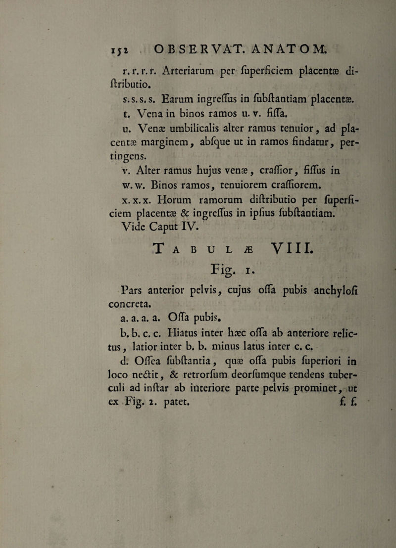 r. r. r. r. Arteriarum per fuperficiem placentae di- (tributio. s. s.s. s. Earum ingreffus in fubftantiam placentae. t. Vena in binos ramos u. v. fiffa. n. Venae umbilicalis alter ramus tenuior, ad pla¬ centae marginem, abfque ut in ramos findatur, per¬ tingens. v. Alter ramus hujus venae, craffior, fifTus in w. \v. Binos ramos, tenuiorem craffiorem. x. x.x. Horum ramorum diftributio per fuperfi¬ ciem placentae & ingreffus in ipfius fubftantiam. Vide Caput IV. Tabul/e VIII. Fig. I. Pars anterior pelvis, cujus offa pubis anchylofi concreta. a. a. a. a. Offa pubis. b. b. c. c. Hiatus inter haec offa ab anteriore relic¬ tus , latior inter b. b. minus latus inter c. c. d. Offea fubftantia, quae offa pubis fuperiori in loco ne&it, & retrorfum deorfumque tendens tuber¬ culi ad inftar ab interiore parte pelvis prominet, ut