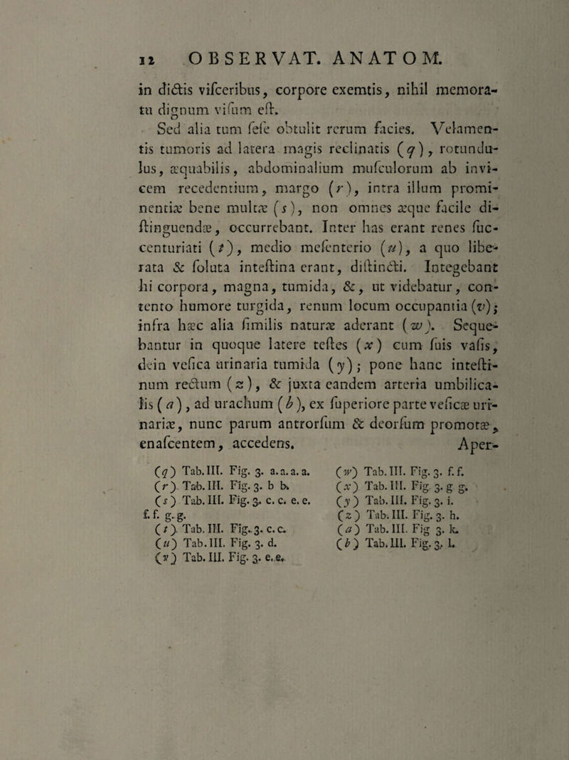 in didis vifceribus, corpore exemtis, nihil memora¬ tu dignum vifum efh Sed alia tum fefe obtulit rerum facies. Velamen¬ tis tumoris ad latera magis reclinatis (<7), rotundu- lus, aequabilis, abdominalium mufculorum ab invi¬ cem recedentium, margo (r), intra illum promi¬ nentia: bene multae (r), non omnes aeque facile di- flinguendae, occurrebant. Inter has erant renes fuc- centuriati (/), medio mefenterio (u), a quo libe¬ rata Sc foluta inteftina erant, diftin&i. Integebant hi corpora, magna, tumida, &, ut videbatur, con¬ tento humore turgida, renum locum occupantia (v); infra haec alia fimilis naturae aderant (w). Seque¬ bantur in quoque latere teftes (x) cum fuis vafis, dein vefica urinaria tumida (y) ; pone hanc intefii- num rectum (2), Sc juxta eandem arteria umbilica¬ lis ( ), ad urachum (b), ex fuperiore parte veficae uri¬ naria:, nunc parum antrorfum Sc deorfum promotae * enafeentem, accedens. Aper> (q) Tab. III. Fig. 3. a. a. a. a. (r) Tab. III. Fig. 3. b b. (O Tab. III. Fig. 3* c. c. e. e. f. f. g. g. ( / ). Tab. III. Fig. 3. c. c. O) Tab. III. Fig. 3. d. (vj Tab. III. Fig. 3. e.e. O) Tab. III. Fig. 3. f.f. (*) Tab-m- Fi&3'g g* (y) Tab. III. Fig. 3. i. (z ) Tab. III. Fig. 3. h. (a) Tab. III. Fig 3. k. (fi) Tab. III. Fig. 3,. I