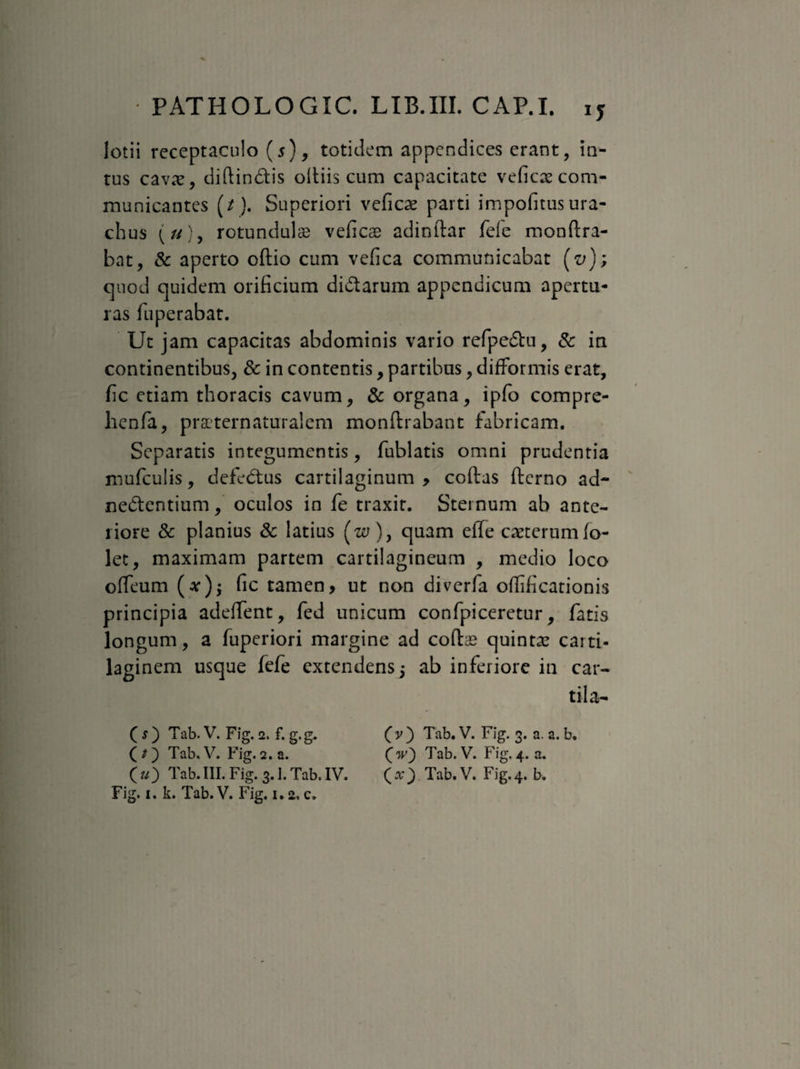 lotii receptaculo (j), totidem appendices erant, in¬ tus caveT, diftindis odiis cum capacitate veficae com¬ municantes (/). Superiori veficse parti impofitus ura- chus (u)> rotundulse veficae adindar fele monftra- bat, & aperto odio cum vefica communicabat (v); quod quidem orificium didarum appendicum apertu¬ ras fuperabat. Ut jam capacitas abdominis vario refpedu, & in continentibus, Sc in contentis, partibus, difFormis erat, fic etiam thoracis cavum, & organa, ipfo compre- henfa, praternaturalem mondrabant fabricam. Separatis integumentis, fublatis omni prudentia mufculis, defedus cartilaginum, codas derno ad- nedentium, oculos in fe traxit. Sternum ab ante¬ riore & planius & latius (w), quam efle exterum fo- let, maximam partem cartilagineum , medio loco offeum (*); fic tamen, ut non diverfa offificationis principia adedent, fed unicum confpiceretur, fatis longum, a fuperiori margine ad colis quintx carti¬ laginem usque fefe extendens 5 ab inferiore in car- tila- ( s ) Tab. V. Fig. 2. f. g. g. ( v ) Tab. V. Fig. 3. a. a. b. Tab.V. Fig. 2. a. (w) Tab. V. Fig. 4. a. (u) Tab.III. Fig. 3.1. Tab. IV. (x) Tab. V. Fig.4. b.