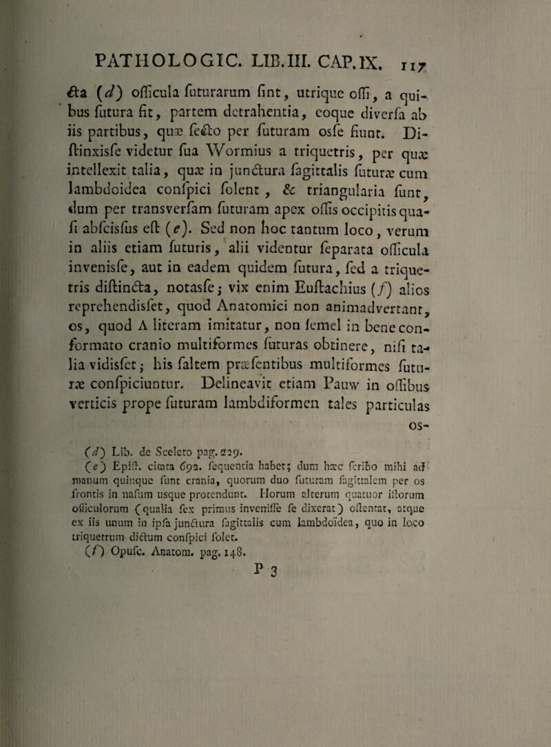 &a (cl) officula futurarum fint, utrique offi, a qui¬ bus futura fit, partem detrahentia, coque diverfa ab iis partibus, qu£ fe£lo per futuram osfe fiunt. Di- flinxisfe videtur fua Wormius a triquetris, per qu^e intellexit talia, quae in jun&ura fagittalis futura cum lambdoidea conlpici folent , &: triangularia funt, dum per transverfam futuram apex offis occipitis qua- fi abfcisfus eft (e). Sed non hoc tantum loco , verum in aliis etiam futuris, alii videntur feparata officula invenisfe, aut in eadem quidem futura, fed a trique¬ tris diftin&a, notasfe^ vix enim Euflachius (/) alios reprehendisfet, quod Anatomici non animadvertant, os, quod A literam imitatur, non lemel in bene con¬ formato cranio multiformes fiituras obtinere, nifi ta¬ lia vidisfet; his faltem pnefentibus multiformes futu¬ rae confpiciuntur. Delineavit etiam Pauw in offibus verticis prope futuram lambdiformcn tales particulas os- (d') Lib. de Sceleto pag. 229. (e) Epifh citata 692. fequentia habet; dum htec feribo mihi ac? manum quinque fum crania, quorum duo futuram fagittalcm per os frontis in nafum usque protendunt. Horum alterum quatuor illorum ofliculorum (qualia fex primus invenifle fe dixerat) edentat, atque cx iis unum in ipfa jundtura fagittalis cum lambdoidea, quo in loco triquetrum di dum confpici lolet. (/) Opufc. Anatom. pag. 148. p 3