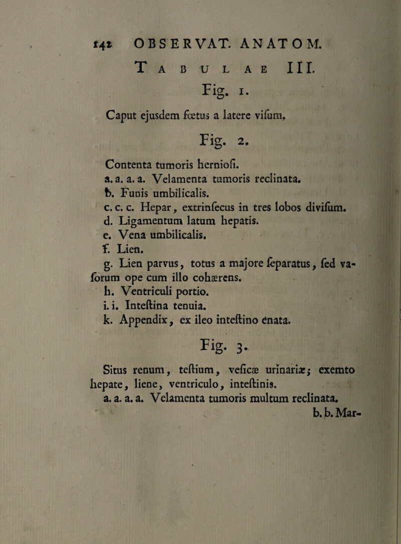 Tabulae III. Fig. x. Caput ejusdem foetus a latere vifum, Fig. 2, Contenta tumoris herniofi. a. a. a. a. Velamenta tumoris reclinata. b. Funis umbilicalis. c. c. c. Hepar, extrinfecus in tres lobos divilum. d. Ligamentum latum hepatis. e. Vena umbilicalis. f. Lien. g. Lien parvus, totus a majore feparatus, fed va- forum ope cum illo cohaerens. h. Ventriculi portio. i. i. Inteftina tenuia. k. Appendix, ex ileo inteftino enata. Fig. 3. Situs renum, teftium, veficae urinariae; exemto hepate, liene, ventriculo, inteftinis. a. a. a. a. Velamenta tumoris multum reclinata. b. b. Mar-