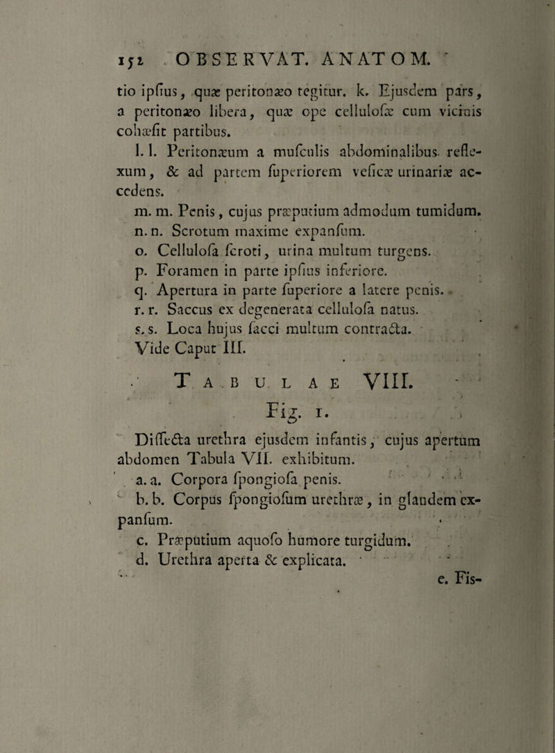 tio ipfius, quas peritonaeo tegitur, k. Ejusdem pars, a peritonaeo libera, qua: ope cellulofx cum vicinis c oh adit partibus. l. 1. Peritonaeum a mufculis abdominalibus- refle¬ xum , & ad partem fupcriorem veficse urinaria ac¬ cedens. m. m. Penis, cujus praeputium admodum tumidum. n. n. Scrotum maxime expanfum. o. Cellulofa feroti, urina multum turgens. p. Foramen in parte ipnus inferiore. q. Apertura in parte fuperiore a latere penis. r. r. Saccus ex degenerata cellulofa natus. s. s. Loca hujus (acci multum contrada. Vide Caput III. 0 Tabulae VIIL Fig. i. > Difleda urethra ejusdem infantis, cujus apertum abdomen Tabula VII. exhibitum. a. a. Corpora fpongiofa penis. ■ ,l ' b. b. Corpus Ipongiolum urethrae', in glandem ex- c. Preputium aquofo humore turgidum. d. Urethra aperta & explicata. ' e. Fis-