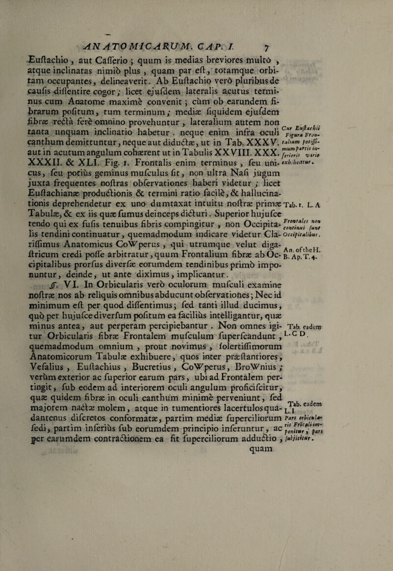 Eufiachio , aut Caflerio ; quum is medias breviores multo , atque inclinatas nimio plus , quam par efi, totamque orbi¬ tam occupantes, delineaverit. Ab Eufiachio vero pluribus de caufis diflentire cogor ; licet ejufdem lateralis acutus termi¬ nus cum Anatome maxime convenit > ciim ob earundem fi¬ brarum pofitum, tum terminum; mediae fiquidem ejufdem fibrae redla fere omnino provehuntur ,. lateralium autem non tanta unquam inclinatio habetur . neque enim infra oculi canthum demittuntur, neque aut diduftae, ut in Tab. XXXV.tal,um aut in acutum angulum cohaerent ut in Tabulis XX VITI. XXX.JZZfiZvZZ XXXII. & XLI. Fig. 1. Frontalis enim terminus , feu uni .exhibemur. cus, feu potius geminus mufculus fit, non ultra Nafi jugum juxta frequentes noftras obfervationes haberi videtur ; licet Euftachianae produdtionis & termini ratio facile, & hallucina¬ tionis deprehendetur ex uno dumtaxat intuitu nofirae primae Tab. r. l. a Tabulae, & ex iis quae fumus deinceps didturi. Superior hujufce tendo qui ex fufis tenuibus fibris compingitur , non Occipita- cZthui*f!Z lis tendini continuatur, quemadmodum indicare videtur Cia- occipitalibus. rifiimus Anatomicus CoWperus , qui utrumque velut diga- firicum credi pofie arbitratur,quum Frontalium fibrae abOc- b.^p.t.V eipitalibus prorfus diverfae eorumdem tendinibus primb impo¬ nuntur, deinde, ut ante diximus, implicantur. jf. VI. In Orbicularis vero oculorum mufculi examine nofirae nos ab reliquis omnibus abducunt obfervationes; Nec id minimum eft per quod diflentimus; fed tanti illud ducimus, quo per hujufcediverfum pofitum ea facilihs intelligantur, quae minus antea, aut perperam percipiebantur . Non omnes igi- Tab eadem tur Orbicularis fibrae Frontalem mufculum fuperfcandunt ,L,G D- quemadmodum omnium , prout novimus , folertiffimorum Anatomicorum Tabulae exhibuere, quos inter praefiantiores, Vefalius , Eufiachius , Bucretius, CoWperus, BroWnius ; verum exterior ac fuperior earum pars, ubi ad Frontalem per¬ tingit, fub eodem ad interiorem oculi angulum proficifcitur, quae quidem fibrae in oculi canthum minime perveniunt, fed majorem nadtae molem, atque in tumentiores lacertulos qua- Ljab‘ eadern dantenus difcretos conformatae, partim mediae fuperciliorum orbicuia- fedi, partim inferius fub eorumdem principio inferuntur, ac per earumdem contra&ionem ea fit fuperciliorum addu&io , lubjicuur. quam