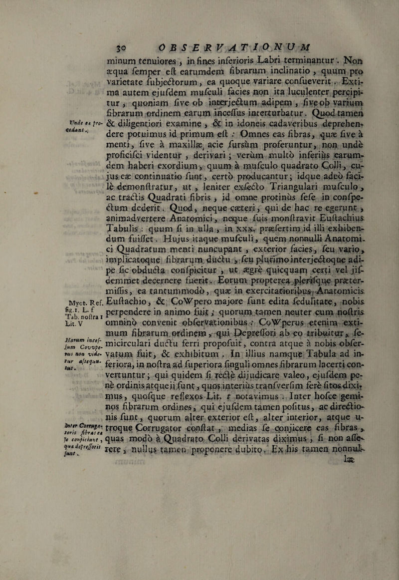 minum tenuiores , in fines inferioris Labri terminantur . Non a^qua femper eft earumdem fibrarum inclinatio , quum pro varietate fubjedforum, ea quoque variare confueverit. Exti¬ ma autem ejufdem mufculi facies non ita luculenter percipi¬ tur , quoniam five ob interjedtum adipem , fiveob varium fibrarum ordinem earum incefius interturbatur. Quod tamen v»de ei pro- & diligentiori examine , & in idoneis cadaveribus deprehen* ee a at.] jere potuimus id primum eft : Omnes eas fibras, quae five a menti, five a maxillse acie fursum proferuntur, non unde proficifci videntur , derivari; verum multo inferius earum¬ dem haberi exordium, quum a mufculo quadrato Colli, cu¬ jus eae continuatio funt, certo producantur; idque adeo faci¬ le demonftratur, ut , leniter exfedto Triangulari mufculo, ac tradlis Quadrati fibris , id omne protinus fefe in confpe- dlum dederit. Quod, neque caeteri, qui de hac re egerunt , animadvertere Anatomici, neque fuis monftravit Euftachius Tabulis : quum fi in ulla , in xxx. praefertim id illi exhiben¬ dum fuiffet. Hujus itaque mufculi, quem nonnulli Anatomi¬ ci Quadratum menti nuncupant , exterior facies, feu vario, i m pl i,cateque fi brarum. dubfu , feu plurimo i nterje&oq tie adi¬ pe fic obdudla confpicitur , ut aegre quicquam certi vel jif- demmet decernere fuerit. Eorum propterea plerifq.ue prieter- mifiis, ea tantummodo, quaj in exercitatioribus^ Anatomicis Myct. Ref. Euftachio, & CoWpero majore funt edita fedufitate, nobis Tab no/rai PerPen(iere in animo iu.it; quorum tamen neuter cum noftris Lit.v * omnino convenit obfervationibus .- CoWperus etenim exti¬ mum fibrarum ordinem, qui Peprelforj ab eo tribuitur,. fe- fumZovvpl- micirculari ducftu ferri propofuit, contra atque a nobis obfer- ntsnon vide- vatum fuit, & exhibitum . In illius namque Tabula ad in- *tZ. ^seqi,tt' feriora, in noftra ad fuperiora finguli omnes fibrarum lacerti con¬ vertuntur; qui quidem fi redle dijudicare valeo, ejufdem pe¬ ne ordinis atque ii funt, quos interius tranfverfim fere fitosdixir mus, quofque refiexos Lit> t notavimus . Inter hofce gemi¬ nos fibrarum ordines, qui ejufdem tamen pofitus, acdiredlio- nisfunt, quorum alter exterior eft, alter interior, atque u- t-roque Corrugator conflat , medias fe conjicere eas fibras , Je conjiciant , quas modo k Quadrato Colli derivatas diximus , fi non afte- qpJe^r^on! tere, nullus tamen proponere dubito. Ex his tamen nonnuL 1m