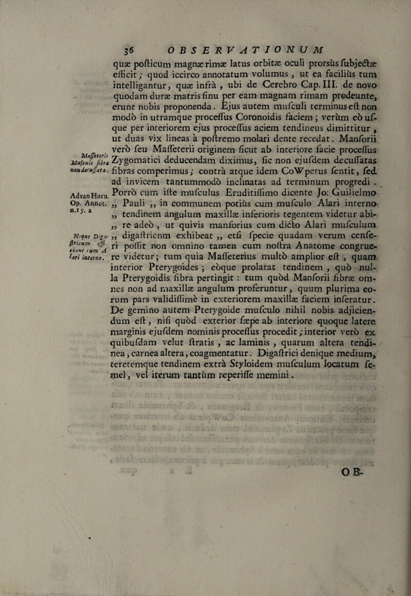 Maffeterls Mufculi fibri non decujjatjt,. AdvanHorn. Op. Annot. n.r 5. a Neque Digi- (Iricutn - ejfi dant cum A hri inferno. 36 OBSERVATIONUM quae pofticum magnae rimae latus orbitae oculi prorsus fubje&ae efficit; quod iccirco annotatum volumus , ut ea facilius tum intelligantur, quae infra , ubi de Cerebro Cap. III. de novo quodam durae matris finu per eam magnam rimam prodeunte, erunt nobis proponenda. Ejus autem mufculi terminuseftnon modo in utramque proceffius Coronoidis faciem ; verhm eo uffi que per interiorem ejus proceffius aciem tendineus dimittitur , ut duas vix lineas a poftremo molari dente recedat. Manforii vero feu Maffieterii originem ftcut ab interiore facie proceffius Zygomatici deducendam diximus, fic non ejufdem decuflatas fibras comperimus; contra atque idem CoWperus fentit, fed ad invicem tantummodo inclinatas ad terminum progredi . Porro cum ille mufculus Eruditiffimo dicente Jo: Guilielmo „ Pauli ,, in communem potius cum mufculo Alari interno „ tendinem angulum maxillas inferioris tegenrem videtur abi- ,, re adeo , ut quivis manforius cum didto Alari mufculum „ digaftricnm exhibeat ,, etfi fpecie quadam verum cenfe- ri poffit non omnino tamen cum noftra Anatome congrue¬ re videtur; tum quia Maffeteriiis multo amplior eft , quam, interior Pterygoides ; eoque prolatat tendinem , quo nul¬ la Pterygoidis. fibra pertingit : tum quod Manforii fibras om¬ nes non ad maxillas angulum proferuntur, quum plurima eo¬ rum pars validiffime in exteriorem maxillas faciem inferatur. De gemino autem Pterygoide mufculo nihil nobis, adjicien¬ dum eft, nifi quod exterior faspe ab interiore quoque latere, marginis ejufdem nominis proceffius procedit; interior vero ex quibufdam velut ftratis , ac laminis , quarum altera tendi¬ nea , carnea altera, coagmentatur. Digaftrici denique medium*, teretemque tendinem extra Styloidem mufculum locatum fe- mei, vel iterum tantum reperiffie memini.