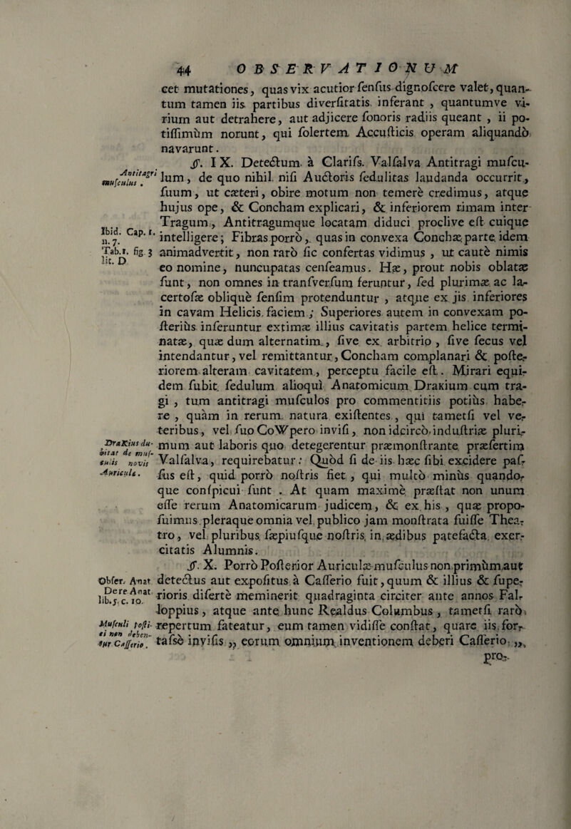 Antitagri cet mutationes, quas vix acutior fenfus dignofcere valet, quan¬ tum tamen iis partibus diverfitatis. inferant , quantumve vi¬ rium aut detrahere, aut adjicere fonoris radiis queant , ii po- tiffimhm norunt, qui folertem Accufticis operam aliquando navarunt. jT. I X. Detedlum. a Clarifs. Valfalva Antitragi mufcii- mu [cuius. Ium, de quo nihil, nifi A udiori s fedulitas laudanda occurrit, fuum, ut caeteri, obire motum non temere credimus, atque hujus ope, & Concham explicari, & inferiorem rimam inter Tragum.,. Antitragumque locatam diduci proclive eft cuique Cap‘r' intelligere; Fibras porro, quas in convexa Conchae parte, idem Tab.r. fig. 3 animadvertit, non raro fic confertas vidimus , ut caute nimis eo nomine, nuncupatas cenfeamus. Hae, prout nobis oblatae funt, non omnes in tranfverfum feruntur, fed plurimae ac la- certofae oblique fenfim protenduntur , atque ex jis inferiores in cavam Helicis, faciem ; Superiores autem in convexam po- flerius inferuntur extimae illius cavitatis partem helice termi¬ natae, quae dum alternarim,, fi ve ex. arbitrio , fi ve fecus vel intendantur, vel remittantur, Concham complanari & pofte- riorem alteram cavitatem , perceptu facile efl. Mirari equi¬ dem fubit. fedulum alioqui Anatomicum Dranium cum tra¬ gi , tum antitragi mufculos pro commentitiis potius, haber re , quam in rerum, natura exiftentes , qui tametfx vel ver teribus, vel fuo CoWpero invift, non idcirco,induftria^ pluri- ^DraKiusdu- niurn aut laboris quo detegerentur praemonlirante, praefertim * mn(- yajpajva ^ requjrebatur .* Quod fi de iis haec fibi excidere paf- fus eft, quid porro nqftris fiet, qui multo minus quandor que confpicui funt . At quam maxime praeftat non unum elTe rerum Anatomicarum judicem, & ex.his , quae propo- fuimus. pleraque omnia vel publico jam monftrata fuiffe Thea-r tro , vel pluribus, faepiufque noftris, in,aedibus patefadla, exer¬ citatis Alumnis. jT. X. Porro Pofterior Auriculae-mufculus non,primhm,aut obfer. Anat deteclus aut expofitus a Caflerio fuit,quum & illius & fuper liLj.cfp31 r^or^s difcrte meminerit quadraginta circiter ante annos FaL •loppius, atque ante hunc Realdus Columbus, tametfi rarih Mufenii repertum fateatur, eum tamen vidiffe conftat, quare iis,fprr. $itr Cflfttrio„ myuis eorum. ojmmujji inventionem deberi Catierio< pro,. eu tts novis AurieuU. /