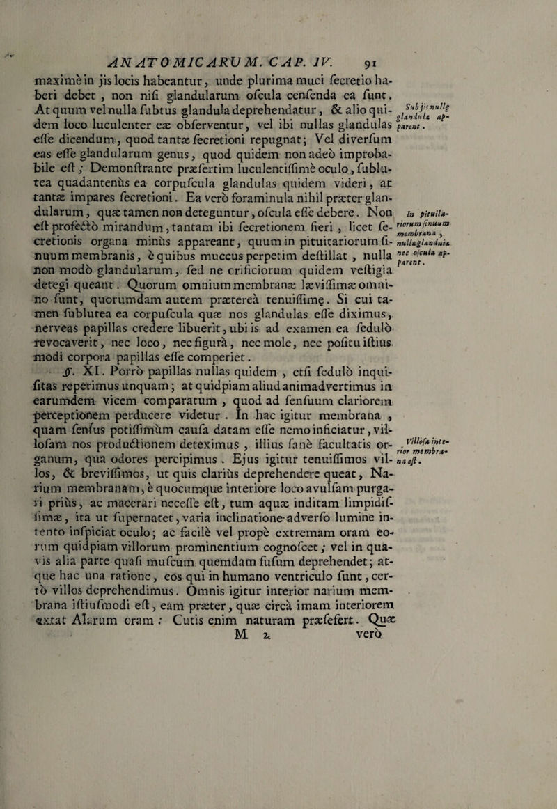 maxime in jis locis habeantur, unde plurima muci fecretio ha¬ beri debet , non nili glandularum ofcula cenfenda ea funt. At quum vel nulla fubtus glandula deprehendatur, & alio qui- J dem loco luculenter eae obferventur, vel ibi nullas glandulas efife dicendum, quod tantae fecretioni repugnat; Vel diverfum eas etfe glandularum genus, quod quidem non adeo improba¬ bile efi ; Demonftrante praefertim hrculentiffime oculo, fublu- tea quadantenus ea corpufcula glandulas quidem videri, at tantae impares fecretioni. Ea vero foraminula nihil praeter glan¬ dularum, quae tamen non deteguntur, ofcula ede debere. Non 1» puuiU- eftprofedlo mirandum, tantam ibi fecretionem fieri , licet fe- cretionis organa minus appareant, quum in pituitariorum fi- nuiUgUndlu nuum membranis, e quibus muccus perpetim deftillat , nulla non modo glandularum, fed ne orificiorum quidem veftigia detegi queant. Quorum omnium membranae lasviffimae omni¬ no funt, quorumdam autem praeterea tenuifiim?. Si cui ta¬ men fublutea ea corpufcula quae nos glandulas efie diximus,, nerveas papillas credere libuerit, ubi is ad examen ea fcdulb revocaverit, nec loco, nec figura, nec mole, nec pofitu illius, modi corpora papillas efie comperiet. XI. Porro papillas nullas quidem , etfi fedulo inqui- fitas reperimus unquam; at quidpiam aliud animadvertimus in earumdem vicem comparatum , quod ad fenfuum clariorem perceptionem perducere videtur . In hac igitur membrana , quam fenfiis potilfimiim caufa datam efie nemo inficiatur, vil lofam nos produdlionem deteximus , illius fane facultatis or ganum, qua odores percipimus. Ejus igitur tenuifiimos vil- 'na efi'. los, & brevilfimos, ut quis clarihs deprehendere queat, Na¬ rium membranam, e quocumque interiore loco avulfam purga¬ ri prifis, ac macerari necefie ell, tum aquas inditam limpidif- fimae, ita ut fupernatet, varia inclinatione-adverfo lumine in¬ tento infpiciat oculo; ac facile vel prope extremam oram eo¬ rum quidpiam villorum prominentium cognofcet; vel in qua¬ vis alia parte quafi mufcum quemdam fufum deprehendet; at¬ que hac una ratione, eos qui in humano ventriculo funt, cer¬ to villos deprehendimus. Omnis igitur interior narium mem¬ brana iftiufmodi ell, eam praeter, quae circa imam interiorem <stx.t.at Alarum oram ; Cutis enim naturam praefefert. Quae M 2c vero Villofa. inti* rior membr*-