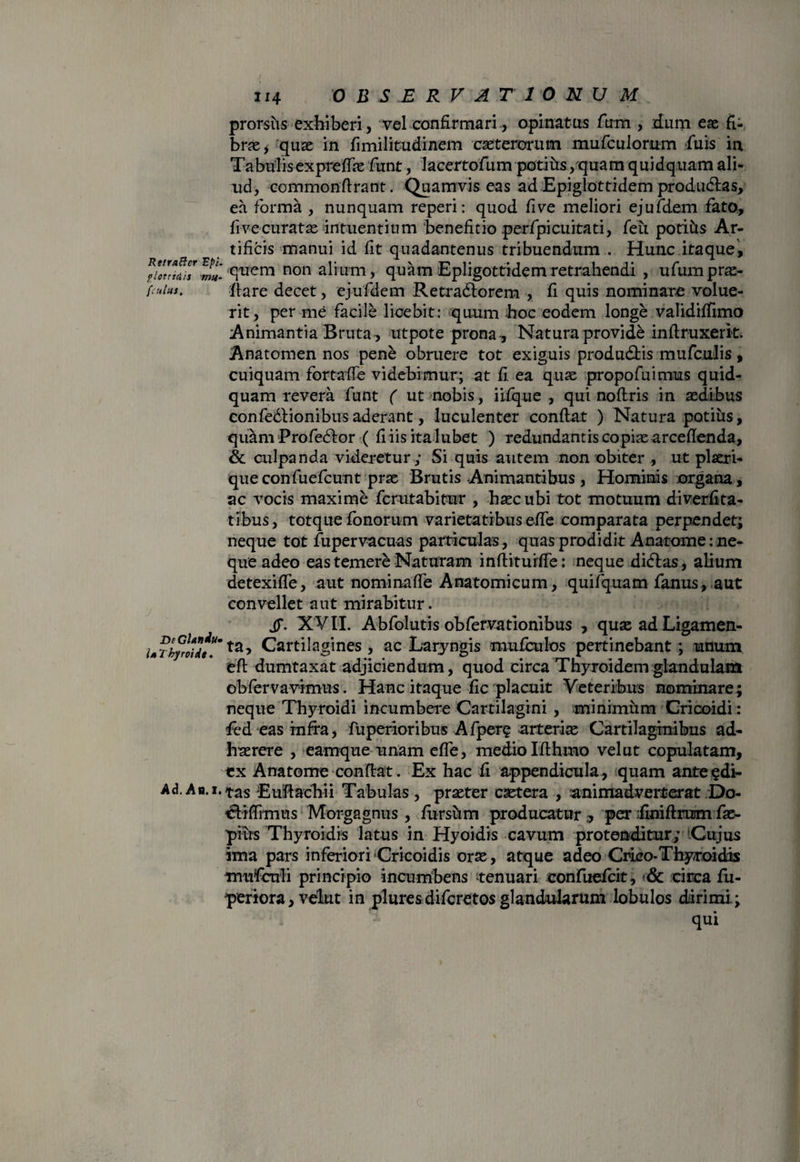 Retraftcr FpL plotridis 773«- fiulus. DeGUniu* Is Tbyroide. Ad. Ab.i. 114 OBSERVATIONUM prorsus exhiberi, vel confirmari, opinatus fum , dum eae fi: brae, quae in fimilitudinem casterorutn mufculomm fiuis in Tabulis exprefihs fiunt, lacertofium potius /quam quidquam ali¬ ud, commonfirant. Quamvis eas ad Epiglottidem produdtas, ea forma , nunquam reperi: quod five meliori ejufidem fato, fi ve cura tae intuentium beneficio perfipicuitati, fieti potitis Ar¬ tificis manui id fit quadantenus tribuendum . Hunc itaque, quem non alium, quam Epligottidem retrahendi , u fum pro¬ flare decet, ejufidem Retradforem , fi quis nominare volue¬ rit, per me facile licebit: quum hoc eodem longe validifiimo Animantia Bruta, utpote prona , Natura provide inftruxerk, Anatomen nos pene obruere tot exiguis produ&is mu ficulis , cuiquam fortafie videbimur; at fi ea quo propofiuimus quid¬ quam revera fiunt ( ut nobis, iifique , qui noftris in aedibus confiedHonibus aderant, luculenter confiat ) Natura potitis, quam Profiecfior ( fi iis ita lubet ) redundantis copiae arcefienda, & culpanda videretur ; Si quis autem non obiter , ut plaeri- queconfiueficunt prae Brutis Animantibus , Hominis organa, ac vocis maxime ficrutabitur , haec ubi tot motuum diverfita- tibus, totque fionorum varietatibus efie comparata perpendet; neque tot fiupervacuas particulas, quas prodidit Anatome: ne¬ que adeo eas temere Naturam inftiturfie: neque dicfias, alium detexifie, aut nominafie Anatomicum, quifiquam fianus, aut convellet aut mirabitur. JT. X VII. Abfiolutis obfiervationibus , quo ad Ligamen¬ ta, Cartilagines , ac Laryngis muficulos pertinebant; unum eft dumtaxat adjiciendum, quod circa Thyroidem glandulam obfiervavimus. Hanc itaque fic placuit Veteribus nominare; neque Thyroidi incumbere Cartilagini , minimtim Cricoidi: fied eas infra, fuperioribus Afiper? arteriae Cartilaginibus ad¬ haerere , eamque unam effie, medio Ifthmo vel ut copulatam, cx Anatome confiat. Ex hac fi appendicula, quam ante ^di¬ tas Eufiachii Tabulas, praeter caetera , animadverterat Do- ctiflimus Morgagnus , fiurstim producatur , per finiftramfiae- pius Thyroidis latus in Hyoidis cavum protenditur; Cujus ima pars inferiori Cricoidis oras, atque adeo Crico-Thyroidis mufeili principio incumbens 'tenuari confiueficit, & circa fiu- periora, velut in plures dificretos glandularum lobulos dirimi.; qui