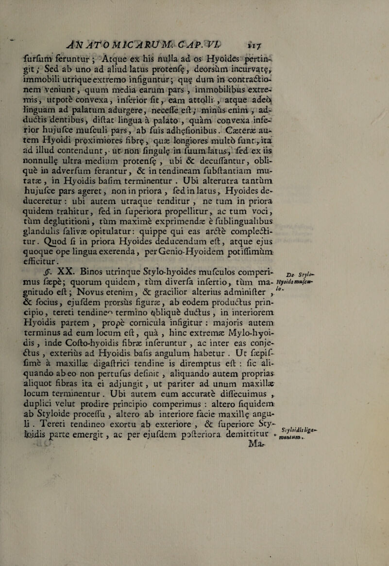 furfum feruntur ; Atque ex his nulla ad os Hyoides pertin-. git; Sed ab uno ad aliud latus protenf?, deorsum incurvat?,, immobili utrique extremo infiguntur; qu? dum in contra&io- nem veniunt, quum media earum pars , immobilibus extre¬ mis, utpote convexa, inferior fit, eam attolli , atque adeb linguam ad palatum adurgere, necede ed; miniis enim., ad- ducdis dentibus, didat lingua a palato , quam convexa infe¬ rior hujufce mufculi pars, ab fuis adh?fionibus. Caeterae au¬ tem Hyoidi proximiores fibr?, quae longiores multo funt rita ad illud contendunt, - ut non fingul? in fuumlatus, fed ex iis nonnull§ ultra medium protenf? , ubi & decuffantur, obli¬ que in adverfum ferantur, & in tendineam fubdantiam mu¬ tatae , in Hyoidis bafim terminentur . Ubi alterutra tantum hujufce pars ageret, non in priora , fed in latus, Hyoides de¬ duceretur : ubi autem utraque tenditur , ne tum in priora quidem trahitur, fed in fuperiora propellitur, ac tum voci, tum deglutitioni, tum maxime exprimendae e fublinguahbus glandulis falivae opitulatur: quippe qui eas ardte compledli- tur. Quod fi in priora Hyoides deducendum ed, atque ejus quoque ope lingua exerenda, perGenio-Hyoidem potiffimum efficitur. jy. XX. Binos utrinque Stylo-hyoides mufculos comperi- De Styi^ mus faepe; quorum quidem, tum diverfa infertio, tum ma- Hyoidsmufc*- gnitudo ed; Novus etenim, & gracilior alterius adminider yl°' focius, ejufdem prorsus figura, ab eodem productus prin¬ cipio , tereti tendine^ termino oblique dudtus, in interiorem Hyoidis partem , prope cornicula infigitur : majoris autem terminus ad eum locum ed, qua , hinc extremae Mylo-hyoi- dis , inde Codo-hyoidis fibrae inferuntur , ac inter eas conje¬ ctus , exterius ad Hyoidis bafis angulum habetur . Ut faepif- fime a. maxillae digadrici tendine is diremptus ed : fic ali¬ quando ab eo non pertufus definit , aliquando autem proprias aliquot fibras ita ei adjungit, ut pariter ad unum maxillae locum terminentur . Ubi autem eum accurate didecuimus , duplici velut prodire principio comperimus : altero fiquidem ab Styloide proceffu , altero ab interiore facie maxill? angu¬ li . Tereti tendineo exortu ab exteriore , &: fuperiore Sty- Itoidis parte emergit, ac per ejufdem poderiora demittitur • mtntum,