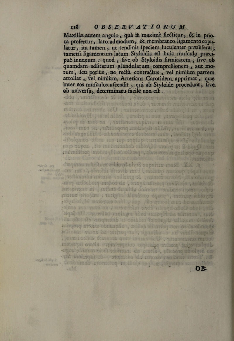 Maxillae autem, angulo, qua ii maxime fle&itur, in prio¬ ra profertur, lato, admodum,. & membraneo ligamento copu¬ latur, ita tamen ,, ut tendinis fpeciem luculenter praefeferat; tametfi ligamentum latum Styloidis eft huic mufculo praeci¬ pue innexum ; quod , five ob Styloidis, firmitatem j five ob quamdam, adfitarum. glandularum compr.efiionem , aut mo¬ tum, feu pojtius, ne rcdla contra&us , vel nimium partem attollat,, vel nimium. Arteriam Carotidem, apprimat, quae inter eos mufculos afcendit , qui ab Styloide procedunt, five. ob univerfa, determinatu, facile, non. efl;. • \ V j OB-