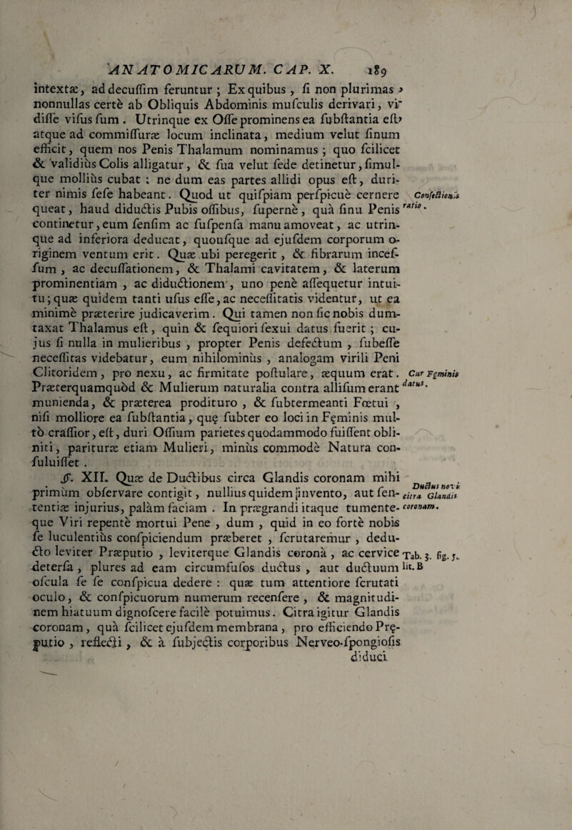intextas, addecuffim feruntur ; Ex quibus, fi non plurimas > nonnullas certe ab Obliquis Abdominis mufculis derivari, vi' diffe vifusfum . Utrinque ex Offe prominens ea fubftantia efb atque ad commiffuras locum inclinata, medium velut finum efficit, quem nos Penis Thalamum nominamus ; quo fcilicet &. Validius Colis alligatur, &. fua velut fede detinetur, fimul- que mollius cubat ; ne dum eas partes allidi opus eft, duri¬ ter nimis fefe habeant. Quod ut quifpiam perfpicue cernere confeMc#;* queat, haud didudfis Pubis offibus, fuperne , qua finu Penis ™tu>' continetur,eum fenfim ac fufpenfa manu amoveat, ac utrin¬ que ad inferiora deducat, quoufque ad ejufdem corporum o- riginem ventum erit. Quas,ubi peregerit, & fibrarum incef- fum , ac decuffiationem, & Thalami cavitatem, & laterum prominentiam , ac didu&ionem', uno pene affiequetur intui¬ tu; quae quidem tanti ufus effie,ac neceffitatis videntur, ut ea minime praeterire judicaverim. Qui tamen nonficnobis dum¬ taxat Thalamus eft, quin & fequiori fexui datus fuerit ; cu¬ jus fi nulla in mulieribus , propter Penis defedium , fubeffe neceffitas videbatur, eum nihilominus , analogam virili Peni Clitoridem, pro nexu, ac firmitate poftulare, aequum erat, cur Feminis Prasterquamquod & Mulierum naturalia contra allifum erant daruS' munienda, & prasterea prodituro , & fubtermeanti Foetui , nifi molliore ea fubftantia, que fubter eo loci in Feminis mul- tb craffior, eft, duri Offium parietes quodammodo fuiffent obli- niti, parituras etiam Mulieri, minus commode Natura con- fuluiffet . jT. XIL Quas de DudVibus circa Glandis coronam mihi • s , r . . i,- .... r Ductus nov* primum obfervare contigit, nullius quidem |invento, aut fen- GUnUt tentiae injurius, palam faciam . In prasgrandi itaque tumente- coronam. que Viri repente mortui Pene , dum , quid in eo forte nobis fe luculentius confpiciendum praeberet , fcrutaremur , dedu- <5to leviter Praeputio , leviterque Glandis corona, ac cervicexab.fig. •deterfa , plures ad eam circumfufos dudtus , aut dudtuum^.B ofcula fe fe coofpicua dedere : quas tum attentiore fcrutati oculo, & confpicuorum numerum recenfere , & magnitudi¬ nem hiatuum dignofcere facile potuimus. Citra igitur Glandis coronam, qua fcilicet ejufdem membrana , pro efficiendo Pre¬ putio , refkdfi > & a fubjedlis corporibus Nerveo-fpongiofis diduci