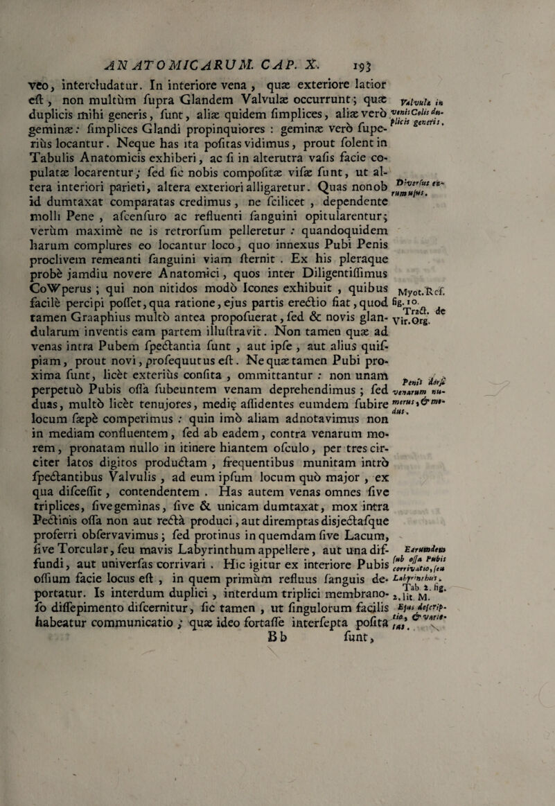 veo, intercludatur. In interiore vena , quas exteriore latior eft, non multum fupra Glandem Valvulas occurrunt ; quas duplicis mihi generis, funt, alias quidem fimplices, aliae verb geminas: fimplices Glandi propinquiores : geminas vero fupe- rius locantur. Neque has ita pofitas vidimus, prout folent in Tabulis Anatomicis exhiberi, ac fi in alterutra vafis facie co¬ pulatas locarentur; fed fic nobis compofitae vifas fnnt, ut al¬ tera interiori parieti, altera exteriori alligaretur. Quas nonob id dumtaxat comparatas credimus, ne fcilicet , dependente molli Pene , afcenfuro ac refluenti fanguini opitularentur; verum maxime ne is retrorfum pelleretur : quandoquidem harum complures eo locantur loco, quo innexus Pubi Penis proclivem remeanti fanguini viam fternit . Ex his pleraque probe jamdiu novere Anatomici, quos inter Diligentiffimus CoWperus ; qui non nitidos modo Icones exhibuit , quibus facile percipi pollet,qua ratione,ejus partis eredtio fiat,quod tamen Graaphius multo antea propofuerat, fed & novis glan¬ dularum inventis eam partem illuftravit. Non tamen quas ad venas intra Pubem fpecftantia funt , aut ipfe , aut alius quif- piam, prout novi, profequutus eft. Ne quas tamen Pubi pro¬ xima funt, licet exterius confita , ommittantur : non unam perpetuo Pubis offa fubeuntem venam deprehendimus ; fed duas, multb licet tenujores, medi? allidentes eumdem fubire locum faspe comperimus : quin imb aliam adnotavimus non in mediam confluentem, fed ab eadem, contra venarum mo¬ rem, pronatam nullo in itinere hiantem ofculo, per tres cir¬ citer latos digitos produdlam , frequentibus munitam intro fpedlantibus Valvulis , ad eum ipfum locum quo major , ex qua difceffit, contendentem . Has autem venas omnes fi ve triplices, fivegeminas, five & unicam dumtaxat, mox intra Pedlinis offa non aut redfca produci, aut diremptas disjedlafque proferri obfervavimus ; fed protinus in quemdam five Lacum, five Torcular, feu mavis Labyrinthum appellere, aut una dif¬ fundi, aut univerfas corrivari » Hic igitur ex interiore Pubis offium facie locus eft , in quem primum refluus fanguis de¬ portatur. Is interdum duplici , interdum triplici membrano- fo diffepimento difcernitur, fic tamen , ut fingulorum facilis habeatur communicatio ; quas ideo fortafle interfepta polita B b funt, Valvula in vinis Celis du¬ plicis genetis. Dherfus et- rumujus. Myot.fcef. fig. 10. Tradi, de Vir.Org. Tenii derfi venarum nu- merus id?me¬ dus. ‘/ Earutndem fub offa Pubis corrivatio, feu L*by*'nrhus * Tab i. hg. 2. Iit M. Ejus defcrip- rifl , & varie¬ tas. \