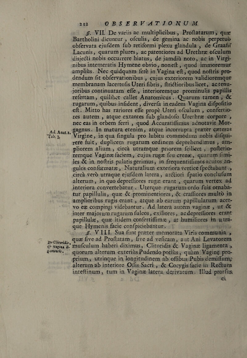 Ad. Anat.r. Tab. 3, Jpe Clitoridis, &■ Vagitu. Ii- gammis OBSERVATIONUM jf. VII. De variis ac multiplicibus , Proflatarum * quae Bartholini dicuntur , ofculis, de gemina ac nobis perpetuo obfervata ejufdem fub retiformi plexu glandula , de Graafii Lacunis, quarum plures, acpatentiores ad Urethrae ofoulum disjedti nobis occurrere hiatus, de jamdiu noto, ac in Virgi¬ nibus intemeratis Hymene obvio, non eft, quod immoremur amplius. Nec quidquam fere in Vagina eft, quod noftris pro¬ dendum fit obfervationibus , cujus exteriorem validioremque membranam lacer tofis. Uter i fibris, flridli oribus licet, ac tenu¬ ioribus continuatam effe , interioremque prominulis papillis refertam, quilibet callet Anatomicus. Quarum tamen , & rugarum, quibus infident, diverfa in eadem Vagina difpofitio eft. Mitto has rariores effe prope Uteri ofculum , confertio¬ res autem , atque extantes fub glandofo Urerhras corpore , nec eas in orbem ferri , quod Accuratiffimus adnotavit Mor¬ gagnus. In matura etenim, atque incorrupta praeter eseteras Virgine, in qua fingula pro lubitu commodum nobis difqui- rere fuit, duplicem rugarum ordinem deprehendimus , am¬ pliorem alium , circa utramque priorem fcilicet , pofterio^- remque Vaginae faciem, cujus rugae feu crenae, quarum fi mi¬ les & in, noflris palatis gerimus, in frequentilfimos acutos an¬ gulos conformatae,. Naturalium exteriora vertice fpedlabant , circa vero utraque ejufdem latera, anftiori fpatio conclufum alterum, in quo deprefliores rugae erant , quarum vertex ad interiora convertebatur. Uterque rugarum ordo fuis ornaba¬ tur papillulis, quae & prominentiores, & craffiores multo in amplioribus rugis erant , atque ab earum papillularum acer¬ vo eas compingi videbantur. Ad. latera autem vaginae , ut <$C inter majomm rugarumfulcos, exiliores, acdepreffiores erant papillulae, quae itidem confertiffimae , at humiliores in u tra¬ que Hymenis facie confpiciebantur. jf. VIII. Sua fiint praeter memorata Viris communia > quae five ad Proflatam, fi ve ad veficam, aut Ani Levatorem mufculum haberi diximus, Clitoridis dc Vaginae ligamenta , quorum alterum exteritis Pudendo potius , quam Vagin$ pro¬ prium,, utrinque in. longitudinem ab offibus. Pubis demiffum.; alterum ab interiore Offis Sacri , & Cocygis facie in Redlum i.nteftinum, tum in Vaginas latera, derivatum. Illud prorfus, ei