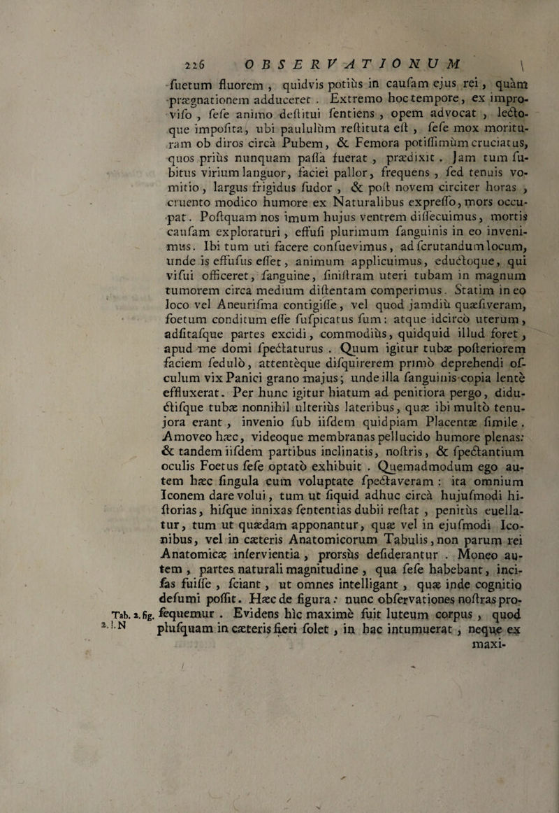 \ \ 216 OBSERVATIONUM fuetum fluorem , quidvis potius in caufam ejus rei, quam praegnationem adduceret . Extremo hoc tempore, ex impro- vifo , fefe animo deflitui fentiens , opem advocat , ledo¬ que impofita, ubi paululum reftituta efl , fefe mox moritu¬ ram ob diros circa Pubem, Sc Femora potiffimumcruciatus, quos prius nunquam pafla fuerat, praedixit . Jam tum fu- bitus virium languor, faciei pallor , frequens , fed tenuis vo¬ mitio , largus frigidus fudor , & pofl novem circiter horas , cruento modico humore ex Naturalibus expreflo,mors occu¬ pat. Poflquam nos imum hujus ventrem diflecuimus, mortis caufam exploraturi, eflufi plurimum fanguinis in eo inveni¬ mus. Ibi tum uti facere confuevimus, ad fcrutandumlocum, unde is effufus effet, animum applicuimus, edudoque, qui vifui officeret, fanguine, finiflram uteri tubam in magnum tumorem circa medium diftentam comperimus. Statim ineo loco vel Aneurifma contigifle, vel quod jamdiu quaefiveram, foetum conditum efle fufpicatus fum: atque idcirco uterum, adfltafque partes excidi, commodius, quidquid illud foret, apud me domi fpedaturus . Quum igitur tubae pofteriorem faciem fedulo, attenteque difquirerem primo deprehendi of- culum vix Panici grano majus; unde illa fanguinis copia lente effluxerat. Per hunc igitur hiatum ad penitiora pergo, didu- difque tubae nonnihil ulterius lateribus, quae ibi multo tenu- jora erant , invenio fub iifdem quidpiam Placentae fimile . Amoveo haec, videoque membranas pellucido humore plenas: & tandem iifdem partibus inclinatis, noftris , & fpedantium oculis Foetus fefe optato exhibuit . Quemadmodum ego au¬ tem haec fingula cum voluptate fpedaveram : ita omnium Iconem dare volui, tum ut fiquid adhuc circa hujufmodi hi- florias, hifque innixas fententias dubii reflat , penitus euella- tur, tum ut quaedam apponantur, quae vel in ejufmodi Ico¬ nibus, vel in caeteris Anatomicorum Tabulis,non parum rei Anatomicae infervientia , prorsus deflderantur . Moneo au¬ tem , partes naturali magnitudine , qua fefe habebant, inci- fas fuiffe , fciant , ut omnes intelligant , quae inde cognitio defumi poffit. Haec de figura: nunc obfervationes noflras pro- Tab. i.fig. fequemur . Evidens hic maxime fuit luteum corpus , quod !-N plufquam in caeteris fleri folet , in hac intumuerat , neque ex maxi- / a / x-