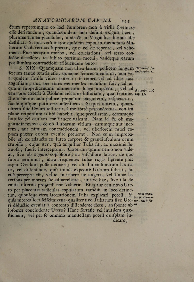 J ftum repertumque eo loci humorem non a virili fpermate ede derivandum ; quandoquidem non defunt exiguae licet , plurimae tamen glandulae , unde & in Virginibus humor ille lierum Cadaveribus fuppetat, quae vel de repente, vel vehe¬ menti Puerperarum morbo , vel cruciatibus, vel ferro con- fedlae decedere, id fubito partium motui , valid^que earum potidimum contradtioni tribuendum puto. jT. XIX. Quamquam non ultra latum pollicem longum 'Ofcmctufi foetum tantae aetatis elfe, quinque fcilicet mendum, non 've- ll4iP*rvtcaee' n quidem fi mile videri poterat ; fi tamen vel ad illius loci angufliam, qua per totos eos menfes inclufum fuit , ad ae¬ quum fuppeditandum alimentum longe imparem, vel ad Antrof>|ib ?n eam prae caeteris a Riolano relatam hiftoriam , qua feptime- eap. drem foetum non pollice propofuit longiorem , refpiciatur , facile quifque puto erit adenfurus . Si quis autem , quam- obrem illic Ovum rediterit, a me forte percondletur, non ita plane refpoilfum is fibi habebit, quo peculiarem, certamque hujufce rei caufam condituere valeam. Nam id & ob ma¬ gnitudinem ovi , & ob Tubarum vitium, earumque aut iner¬ tem , aut nimiam contradtionem , vel uberiorem muci co¬ piam praeter caetera evenire potuerat . Non enim improba¬ bile eft ex adaudlo eo luteo corpore <5c grandiufculum ovum erupilfe , cujus iter, qua angudior Tuba fit, ac maxime fle- xuofa , fuerit interceptum . Caeterum quum nemo non vide¬ at, fi ve ab aggedo copiofiore , ac vifcidiore latice, de quo fupra retulimus , intra frequentes tubae rugas h§rente plus aequo Ovulum polfe detineri; vel ab 1 ubae fibrarum laxita¬ te, vel didenfione, quo minus expedite Uterum fubeat, fa¬ cile perceptu ed; vel id in itinere fic augeri , vel Tubae la¬ teribus per moram fic adhaerefeere , ut fi ve hac, five illa de caufa ulterius progredi non valuerit. Ei igitur ceu novo Ute¬ ro per placentae radiculas copulatum tamdiu in loco detine¬ tur, quoufque citra lacerationem Tuba explicari poted . Si quis interea loci fcifckaietur,qualiter five Tubarum five Ute* tur, vtl a fix- ri didudlio eveniat a contento didendente foetu, an fponte ab ipfomet concludente Utero? Hanc fortafie Vel inutilem quae- ilionem, vel per (e omnino manifedam poted quifpiam ju¬ dicare , . s V , tti.