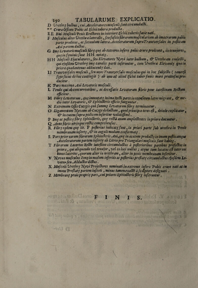 i5o TABULARUME EXPLICATIO. jD Vrethrg bulbus, cui .dcceleratoresmufculi funt circuxudi0i., * * Crura Offium Tubis ad lfcbii tubera produda. E E Bini Mufculi Tenis Ered ores in interiore lfcbii tuberis facie nati. F Mufculus alter Urethra lateralis, /:ufafsis fibrarum muf:darium ab ima crurum pubis parte prodiens, ac fecundum latera Acceleratorum/upra Transverf des in pofiicam Ani partem dudus. G Ime Levatoris mufculi fibrg que ab extremo infero pubis crure prodeunt, iis tenujores, que in feminis funt HH notat §. HH Mufculi E]aculatores, feu Elevatores Tsfpvi inter bulbum, & Urethram con]edi, qui eiufdem Uretbr c ime canalis parti inferuntur, tum Urethra Elevande qua in priora quadantenus adducende dati. IJ Transverf ales mufculi ,feu unus Transverf dis muf culus qui in hoc fub]edo ( tametfi fepe feeus de hoc contingit ) ab uno ad aliud lfcbii tuber funis more protenfus pro¬ ducitur . K Tars maxima Ani Levatoris mufculi. L Tendo qui ab concurrentibus , ac decuffatis Levatorum fibris pone intefiinum Re dum efficitur. M Fibr e Levatorum, que immutate in ima Redi parte in oppofitum latus migrant, & me¬ dio inter Levatoris, & Sphincteris officio funguntur. N Extremum Offis Cocygis quo f ummg Levatorum fibr e terminantur. O Ligamentum Isfovum ab Cocyge dedudum, quod principio teres efl, deinde explicatur, K& in cutem f upra podicem inferitur validiffime. P lmg ac poftice fibr e Sphinderis3 que reda anum ampledentes in priora ducuntur. Q Anus fibris utrinque redis comprebenfus. R. Fibr e egdem quf Ut. P pofkrius indicat g funt, in priori parte fub urethra in Tenis membranam inferte, & in anguli modum conformat g. S Tarsprior earum fibrarum Sphincteris Aniyqug in acutum produdg in imam poflicamque Acceleratorum partem infert g ab Litrio pro Triangulari mufculofunt habit.g. T Fibrarum Lacertus Redo inteflino circumdudus d pofierioribus partibus profedus in priora, qui aliquando vel tenuior, vel eo loci nullus ; atque tum locatus efl inter eos binos lacertos 3 quorum alter in urethram, alter in penis membranam inferitur. V 7sfovus muf:ulus Zongin modum inferius ac pojlerius proflat g circumdudus efjufiiem Le¬ vator feu Addudor didus. X Mufculi Urethrg Tfovi Tro]edores nominati in extremo infero Tubis crure nati ac in imam Troflatg partem inferti, minus tamenexade d fcalptore defignati. Z Membrang penis proprig pars, cui priores Sphinderis fibrg inf eruntur. FINIS.