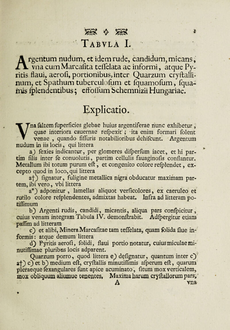 Tabvlä L \ > y ^ 1'. Argentum nudum, et idem rüde, candidum, micans, vna cumMarcafita teflelata ac informi, atque Py- ritis flaui, aerofi, portionibus, inter Quarzum cryilalli- num, et Spathum tuberculofum et fquamofum, fqua- mis fplendentibus; eftbflüm Schemnizii Hungariae. » Explicatio. Vna faltem fuperficies glebae huius argentiferae nunc exhibetur, quae interiora cauernae refpexit; -ita enim formari folent venae , quando fifluris notabilioribus dehifcunt! Argentum nudum in iis locis, qui littera aj fexies indicantur, per glomeres difperfum iacet, et hi par¬ tim filis inter fe conuolutis, partim cellulis fauaginofis conflantur. Metallum ibi totum purum efl, et congenito colore refplendet, ex¬ cepto quod in loco, qui littera at3 fignatur, fuligine metallica nigra obducatur maximam par¬ tem, ibi vero, vbi littera a^} adponitur , lamellas aliquot verficolores, ex caeruleo et rutilo colore refplendentes, admixtas habeat. Infra ad litteram po- tiffimum b) Argenti rudis, candidi, micantis, aliqua pars confpicitur, cuius venam integram Tabula IV. demonflrabit. Adlpergitur etiam pafTim ad litteram c) et alibi, MineraMarcafitae tam teffelata, quam folida fiue in¬ formis: atque demum littera ' d) Pyritis aerofi, folidi, flaui portio notatur, cuius miculae mi- nutiffimae pluribus locis adparent. Quarzum porro, quod littera e^ defignatur, quantum inter c)*^ af) c) et b) medium efl, cryffallis minutiffimis afperum efl, quarum' pleraeque fexangulares funt apice acuminato, fitum mox verticalem, mox obliquum äiiunue tenentes, Maxima harum cryllallorum pars,' A vna'