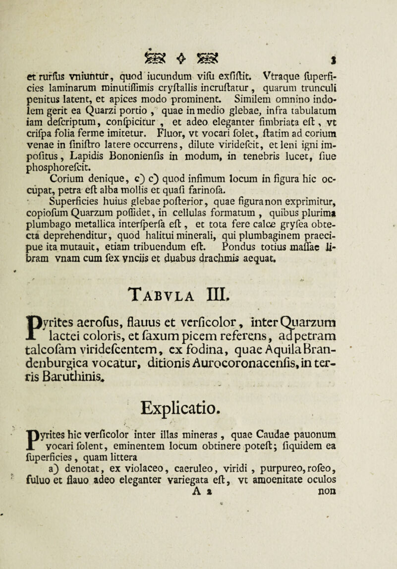 et’rufHis vniuhtür, quod iucundum vifli exfiftit; Vtraque (liperfi- cies laminarum minutiflTimis cryftallis incruftatur , quarum trunculi penitus latent, et apices modo prominent. Similem omnino indo¬ lem gerit ea Quarzi portio , quae in medio glebae, infra tabulatum iam defcriptum, confpicitur , et adeo eleganter fimbriata eft, vt crifpa folia ferme imitetur. Fluor, vt vocari folet, ftatim ad corium venae in finifiro latere occurrens, dilute viridefcit, et leni igni im- pofitus, Lapidis Bononienfis in modum, in tenebris lucet, fiue phosphorefcit. Corium denique, c) c) quod infimum locum in figura hic oc¬ cupat, petra efi: alba mollis et quafi farinofa. Superficies huius glebae pofterior, quae figura non exprimitur, copiofum Quarzum polTidet, in cellulas formatum , quibus plurima plumbago metallica interfperla efi:, et tota fere calce gryfea obte¬ cta deprehenditur, quod halitui minerali, qui plumbaginem praeci¬ pue ita mutauit, etiam tribuendum efi:. Pondus totius mafiac li¬ bram vnam cum fex vnciis et duabus drachmis aequat, Tabvla III. Pyritcs aerofiis, flauus et vcrficolor, inter QLiarzum lactei coloris, et faxum picem referens, ad petram talcofam viridefeentem, ex fodina, quae AquilaBran- denburgica vocatur, ditionis Awocoronacenfis, in ter¬ ris Barutliinis. Explicatio. Pyrites hic verficolor inter illas mineras, quae Caudae pauonum vocari folent, eminentem locum obtinere ipoteft; fiquidera ea fuperficies, quam littera a) denotat, ex violaceo, caeruleo, viridi , purpureo,rofeo, fuluo et flauo adeo eleganter variegata efi:, vt amoenitate oculos A 1 non