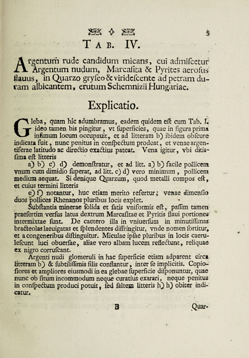 Ärgcntum rude candidum micans, cui admifcetur Argentum nudum, Marcafita & Pyrites aerofus flauus, in Quarzo gryfeo & viridcfcentc ad petram du¬ ram albicantem, erutumSchemniziiHungariae. Explicatio. Gleba, quam bic adumbramus, eadem quidem efl cum Tab, T. ideo tamen bis pingitur, vt fuperficies, quae in figura prima infimum locum occupauic, et ad litteram b) ibidem obfcure indicata fuit, nunc penitus in confpedlum prodeat, et venaeargen- tiferae latitudo ac diredlio exadius pateat. Vena igitur, vbi £tis- fima efl litteris a) b} c) d) demonflratur, et ad litt, a) b) facile pollicem vnum cum dimidio fiiperat, ad litt, c) d) vero minimum , pollicem medium aequat. Si denique Quarzum, quod metalli compos eil, et cuius termini litteris e)f) notantur, huc etiam merito refertur; venae dimenfio duos pollices Rhenanos pluribus locis explet. Subftantia minerae folida et fatis vniformis efl:, pallim tamen' praefertim verfus latus dextrum Marcafitae et Pyritis flaui portiones' intermixtae funt. De caetero illa in vniuerfum in minutiflimas bradeolaslaeuigatas et fplendentes diffringitur, vnde nomen fortitur, et a congeneribus diflinguitur. Miculae ipfee pluribus in locis caeru- lefcunt luci obuerfae, aliae vero albam lucem refledunt, reliquae ex nigro corrufcant. Argenti nudi glomeruli in hac fuperficie etiam adparent circt litteram b) & fubtiliffimis filis conflantur, inter fe implicitis. Copio-' fiores et ampliores eiusmodi in ea glebae fuperficie difponuntur, quae nunc ob fitum incommodum neque curatius exarari, neque penitus in conlpedum produci potuit, fed faltem litteris h) obiter indi¬ catur, V* ■■ » , Quar- B