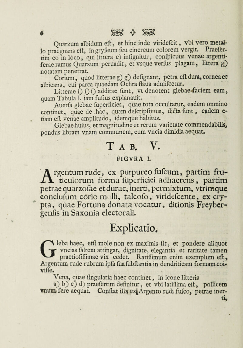 4 Quarzum albidum efl, et hinc inde viridefcit, vbi vero metai- lo praegnans eft, in gryfeum feu cinereum colorem vergit. Praefer- tim eo in loco, qui littera e) infignitur, confpicuus venae argenti- feraeramus Quarzum peruadit, et vsque verfus plagam, littera g) notatam penetrat. Corium, quod litterae g) g) defignant, petra eft dura, cornea er albicans, cui parca quaedam Ochra flaua admifcetur. Litterae i) Qi) additae funt, vt denotent glebae^aciem eam, quam Tabula 1. iam fufius explanauit. Auerfa glebae fuperficies, quae tota occultatur, eadem omnino continet, quae de .hac, quam defcripfimus, didlafunt, eadem e- tiam eft venae amplitudo, idemque habitus. Glebae huius, et magnitudine et rerum varietate commendabilis, pondus libram vnam communem, cum vncia dimidia aequat. T A B. V. « FIGVRA I. Argentum rude, ex purpureo fufcum, partim fru- ticulorum forma fuperfidei adliaerens, partim petrae quarzofae etdurae, inerti, permixtum, vtrimquc eondufum cöriomv lli, talcofo, viridcfcente, ex cry¬ pta, quae Fortuna donata vocatur, ditionis Frcyber- geulis in Saxonia clectorali. Explicatio^ Gleba haec, etfi mole non ex maximis fit, et pondere aliquot vncias faltem attingat, dignitate, elegantia et raritate tamen praetiofiflimae vix cedet. Rariflimum enim exemplum eft, Argentum rude rubrum ipfa fuaflibllantia in dendriticam formam coi- vilTe. Vena, quae fingularia haec continet, in icone litteris a} b^ c) d) praefertim definitur, et vbi latifTima eft, pollicem vnuia fere aequat. Confiat illa cx^Argento rudi fufco, petrae iner- tij