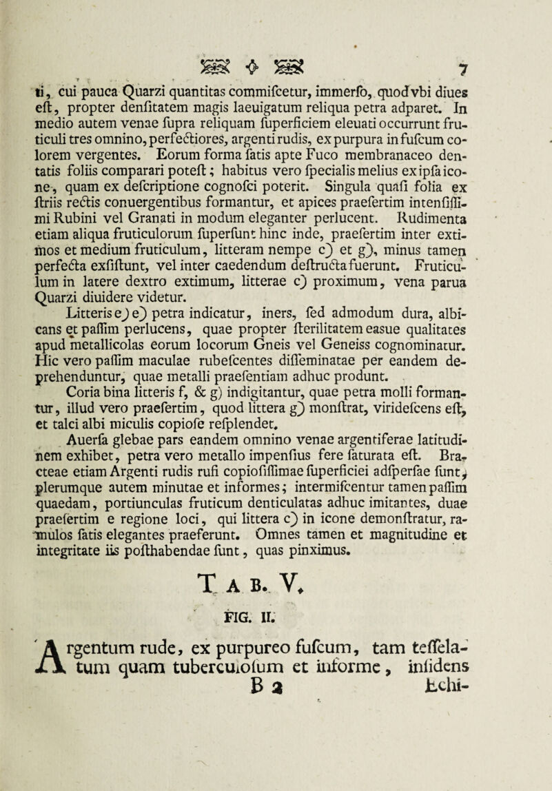  V ’ ti, cui pauca Quarzi quantitas commifcetur, immerfo, quodvbi diues eft, propter denfitatem magis laeuigatum reliqua petra adparet. In medio autem venae fupra reliquam fuperficiem eleuati occurrunt fru- ticuli tres omnino, perfedtiores, argenti rudis, ex purpura infufcum co¬ lorem vergentes. Eorum forma fatis apte Fuco membranaceo den¬ tatis foliis comparari poteft; habitus vero fpecialis melius ex ipfa ico¬ ne, quam ex defcriptione cognofci poterit. Singula quafi folia ex ftriis redlis conuergentibus formantur, et apices praefertim intenfifli- mi Rubini vel Granati in modum eleganter perlucent. Rudimenta etiam aliqua fruticulorum fuperfunt hinc inde, praefertim inter exti¬ mos et medium fruticulum, litteram nempe c^ et g}, minus tamen perfedla exfiftunt, vel inter caedendum deflrudla fuerunt. Fruticu¬ lum in latere dextro extimum, litterae cj proximum, vena parua Quarzi diuidere videtur. Litteriseje} petra indicatur, iners, fed admodum dura, albi¬ cans etpaflim perlucens, quae propter Rerilitatemeasue qualitates apud metallicolas eorum locorum Gneis vel Geneiss cognominatur. Hic vero paflim maculae rubefcentes difleminatae per eandem de¬ prehenduntur, quae metalli praefentiam adhuc produnt. ^ Coria bina litteris f, & g) indigitantur, quae petra molli forman¬ tur, illud vero praefertim, quod littera g) monftrat, viridefcens eft, et talci albi miculis copiofe refplendet. Auerfa glebae pars eandem omnino venae argentiferae latitudi¬ nem exhibet, petra vero metallo impenfius fere faturata eft. Bra¬ cteae etiam Argenti rudis rufi copiofilTimae fuperficiei adfperfae funt^ plerumque autem minutae et informes; intermifcentur tamenpallim quaedam, portiunculas fruticum denticulatas adhuc imitantes, duae praefertim e regione loci, qui littera c) in icone demonftratur, ra- Tnulos fatis elegantes praeferunt. Omnes tamen et magnitudine et integritate iis pofthabendae funt, quas pinximus. T A B. V. FIG. U. Argentum rude, ex purpureo fufcum, tam teffela- tum quam tuberculotum et informe, inlidcns B a BchI-