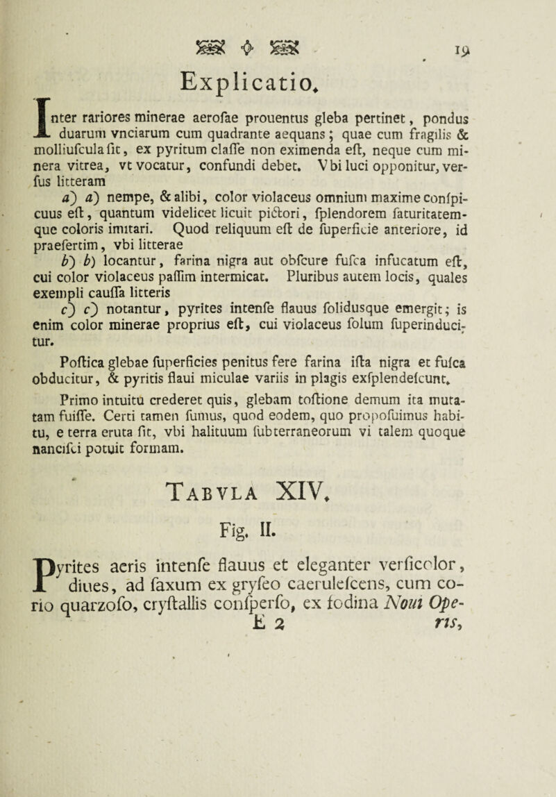 Explicatio* Inter rariores minerae aerofae prouentiis gleba pertinet, pondus duarum vnciarum cum quadrante aequans; quae cum fragilis & molliurculafic, ex pyritum clafle non eximenda eft, neque cum mi- nera vitrea, vt vocatur, confundi debet. Vbi luci opponitur, ver- fus litteram a') a) nempe, & alibi, color violaceus omnium maxime conlpi- cuus eft, quantum videlicet licuit piftori, fplendorem faturitatem- que coloris imitari. Quod reliquum efl: de fuperficie anteriore, id praefertim, vbi litterae b') b) locantur, farina nigra aut obfcure fufca infucatum ed, cui color violaceus paiTim intermicat. Pluribus autem locis, quales exempli caufla litteris c) O notantur, pyrites intenfe flauus folidusque emergit; is enim color minerae proprius eft, cui violaceus folum fuperinduci; tur. Poftica glebae fuperficies penitus fere farina ifta nigra et fulca obducitur, & pyritis flaui miculae variis in plagis exfplendelcunt. Primo intuitu crederet quis, glebam toftione demum ita muta¬ tam fuifle. Certi tamen fumus, quod eodem, quo propofuimus habi¬ tu, e terra eruta fit, vbi halituum fubterraneorum vi talem quoque nancifci potuit formam. Tabvla XIV. Fig. II. Pyrites acris intenfe flauus et eleganter verficclor, diues, äd faxum ex gryfeo caerulelcens, cum co¬ rio quarzofo, cryftallis conlperfo, ex lodina Nout Ope- £ 2 rts.
