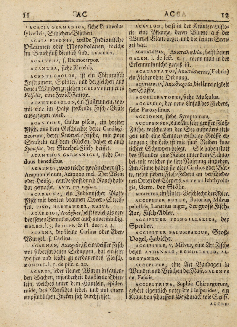 fl » ACA,CIA GERMANICA, jU iylvcftris, 0φίφηΛβΙίηΐ)«ι. ACAIA PISONIS, ϊϋίΐ&ί Pflaumen ober tTtyfoboianen, meld)e im53aud)flu§ bieniid) limery. acalypha, f. Ricinocarpos. acastha, fiel)« Rhachis. ACANTHO BOL OS, tjl tili Cbtttttgifd) ^njlrument, ©piitter, uni) bergieid/en auö turnen ^Gunbcn ju jid>en :celsvs nennet eö Folfella, cineowicfiSnnge. A C A N T H 0 ß O L Ο N, etil StiffrUttUttt, WO# mit eine im -paife fteefenbe §ifd) # ©täte attege^gen wirb, acanthus, Gallus pifds, ein breitet §ifd)/ aus Dem ©c(d)icd)te betet Cartilagi¬ neorum, betet £norpe(^tfd)e, mit pci) @tad>eln auf bem Övvtcfen, bafyer et and) Spiwfus, bet etact)d?oifcb i/eiffet. acanthus Germanicus, jtef)e Car- iduus benedicius. acapnos, vom ηίφ{ getdudjert i(l; Acapnon vinum, Acapnon mel. ©et'äöetn ober pontg, mürbe fonft burd) 3umct} Ijait* bat gemacht, a v t. m rujUca. acarauna, ein 3nbianifd)et fJMatfr §tfd) mit breiten braunen Dmcet* (Streif* PISO, HERNANDElj RAIVÖ. ACAKDioi,' Ar.ci£<W,l)eiit fobiet aid ber* bto jfenen@emüti)ö,obce aud) mmerftetnbig. e ALBN.l. 3. de hipp. & PI. decr. c. 4. acarna, biefietne Carlina ober Sbetv ^Bm^el f. Carlina. a c a r n a N,’Aj4«|v«v,iji etttmeiffee^iftl) mit filberfatbencn <Sd)uppen, bat einfel)V meifjcü unb leid)t p oetbauenbeö Sietfd;. RONDEL. 1. ^.depiie. C. 20. a c λ r u s, jeber {(einet ‘Ιΰ tttm in fauien* ben @ad)en, infonbeti/eit baü f lei ne lein, meid)es untet bem ••jautlein, epider¬ mide, bes O3lenfd)en lebet, unb mit einem CViirfcem ft<*K hmvhfyjjT^ ilßur&el Platte lieget, unb bie leinen ©ten* gel hat. ACATALEPSIA, * Ακαταληψία, ()# Uijm galen. 1. de kä. e. y. wenn man tnöer Stfenntnif nid)t gereift iff acatastato s; A%&ra<?#Tcf,(Febris) ein Sieber ol>ne Orbnung. ACATHARsiA/Ax^^^^bietlnreinigfeit ber ©affte. ACCELERAT0RE5, MufculüS. accessi o5 bei* neue 5(nfallbe£ Sieber^ fie()e Paroxyfmus. accidens, fiet)e Symptomata. accipenser, eine 51 rt fehr gr offer §ifd)e, welche t>on ber @ee aufwärts ffei* gen unb eine Sentnermidffige ©reffe er* langen; il)r £etb tff mit fünf D\etf>en fno* tid)ter ©chuppen belegt, ©ie haben ftatt be£ 5DLunbc£ eine 9vebre unter bem ©φηα* beb mit welcher fte ihre Nahrung einiiehen* 3lm ivtnne haben fte v>ier cirrhos ober 55dr* te, nebji fteben 5;to£v§ebern an oerfd)iebe* neu Orten be£ Corpcr^.A etedi khthyolo- gia, Germ. Öet* ©tobt*. AccipiTER,einlintetv©cfd)(ed)tber5(b(er4 accipiter buteo, Butorius, Milvus paluftris, Lanarius niger, t>ei4 griffe5ίΓφ^ 2ίαι> Sifd)^lcv. ACCIPITER FRINGILLARIUS, ©pevber. ACCIPITER PALUMBARIUS, 0tOf^ Oogel/^abtdic. accipiter, vf Miivus, eine5irt5ifd)e beiym ATHENAEOj RON DELETIO, AL·^ DROVAND 0. accipiter, eine 5irt 55anbagen nt HBunben unb 5Srüd}en ber??afe*G aienvs de Fafciis. accipitrina, Sophia Chirurgorum^ gehört eigentlich unter Sie Hefperldes, ein mie©enff. ACCRE-