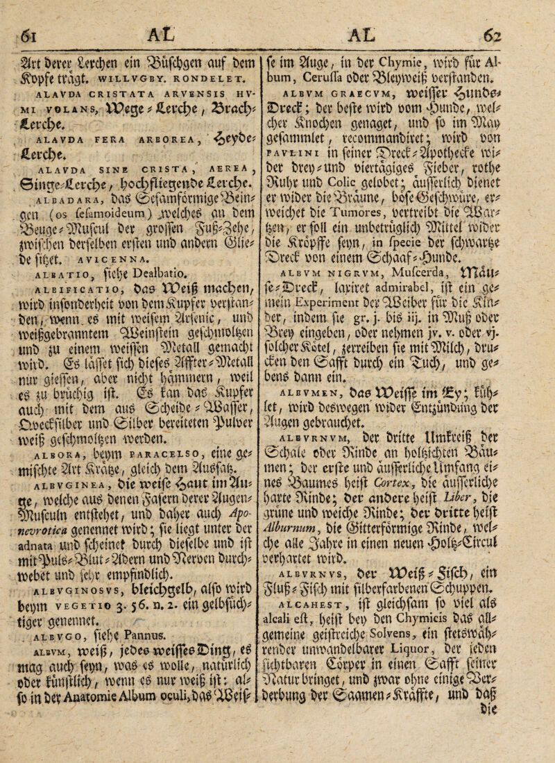 Slrt bem; tercfen du Saüfcfgen auf bem ^>pfe tvaüt. WILL VGBY. RONDELET. ALA VDA CRISTATA ARVENSIS Η V- Mi volans, VPege # fi.etd)e , 23tad>* Herdje. ALAVDA FERA ARBOREA, ^C^be# ßerd)e. ALAVDA SINE CRISTA, AEREA, ©intw#ßercf>e, f ccl;>fliegettbe Heveae. albadara, bas ©efamformigeiöein# gen (os fefämoideum) jmeid)CS au bdU 23euge # OJlufcul bet groften guf #3ef e, ptfdfen berfelben etflen unb anbetn (Slie# be ftfjrt. A V I C E N N Α. albatio, fiefe Dealbatio. ALBIFICATIO, ÖÖS XDetf lUödjeil, wirb infonberfeit ron bem&upfet perflan# ben, wenn.es mit weifem Slrfentc, unb weifgebranntem iSeinftein gefcfmoifen unb ;u einem weiffen Detail gemacft wfeb. <5s taffet fidf biefeö Stifter#Metall nur gieffim, aber nid)t fammetn, weil es ju bruefig tft. (2s fan bat? Tupfer aucl) mit bem aus ©efetbe # cIBaffet, -Cwecffilbet unb ©über bereiteten falber weif gefefmolfen -werben. alboua, bepm paracelso, eine ire# mifefte Siet Ävafe, gleicf bem 2tuöfafe. albvginea, bie wetfe4)<uitimSiu# ge, welcfe aus benen gafetn berer Slugen# 9Jlufculn entflefet, unb bafet aud) Apo- nemotka genennet wirb; fie liegt unter ber adnata unb fefeinet butef biefelbe unb iji mtt^uls#';iMui#2ibern unb Serben burcf# webet unb feft empfmbtief. albvginosvs, bleict>5elb, alfowirb bepm Vegetio 3. j6. n,2. eingelbfüci)# tiger genennet. albvgo, ftefe Pannus. albvm, weif?, jebeo wetffeaüDttiSJ, eS mög aucl) fepn, was es wolle, natürlicf ober fünflltcf, wenn es nur weif tfl; al# fo in ber Anatomie Album oculi, bftS(Äßdf# fe im Sluge, in ber chymie, wirb für Ab bum, CeruiTa ober iöicpwcif berfranben. albvm graecvm, weiffev ^unbew JDvccf; ber bejle wirb bom djuttbe, wei# efet Änocfen genaget, unb fo im ‘Slap gefammlet, tecommanbitet; wirb bon pavlini in feinet ®recf#Slpotl)ecfe wi# ber btep # unb piertagigeS gteber, rotfe Oiuf t unb Colic gelobet * aufferiieb bienet er wiber bie braune, bbfe ©efefwüre, er# weiefet bie Tumores, bcttveibt bie ’-ilBar# fen, erfüll ein unbetrüglid) DTOttel wiber bie Äropife fepn, in fpecie ber fdjwavfee ®mf bon einem ©d)aaf#sj)unbe. albvm nigrvm, Mufcerda, tTlöll# fe#iDi-e(f, lapiret admirabei, Jjl ein ge# mein Experiment ber OBeibet für bie ioin# ber, inbem fie gr. j. bis iij. in OJiuf ober iSrep eingeben, ober ttefmen jv. v. ober vj. foicl)er Äetel, jetreiben fie mit OMcf, btu# eben ben ©afft burct) ein ^ud), unb ge# bens bann ein. albvmen, je iX>etjfe im *£y; füf# (et, wirb beswegen wiber Sntjünbung ber Singen gebrandet. albvrnvm, ber Brttte Umfteif ber ©cfate ober 3%inbe an l)o(pk|tert iSan# men; ber cvfleunb äufferlicfeUmfang ei# neö böaumeö feifl Cortex, bie äufferiid)e farte Oiinbe; Der «nbere feifl Uber, bie grüne unb wetd>e Oiinbe; ber bvitre feifl Alburmm, bie ©itterformtgc Oiinbe, wei# d)e ane Safrc in einen neuen Jgotf#0'rcul rerfartet wirb. ALBVRNvs, bev #■ / ein gfuf # gtfcf mit ftlbcrfarbenen ©cfuppen. alcahest, ifl gieicffam fo uiei als alcali eil, feifl bep ben Chymicis baS all# gemeine geiftveid)e Solvens, ein fletswüf# renber unwanbelbarer Liquor, ber feben fieftbaren Corper in einen ©afft feiner ’Jiatur bringet, unb par efne einige 03er# berbung ber ©aamen # iiraffie, unb baf