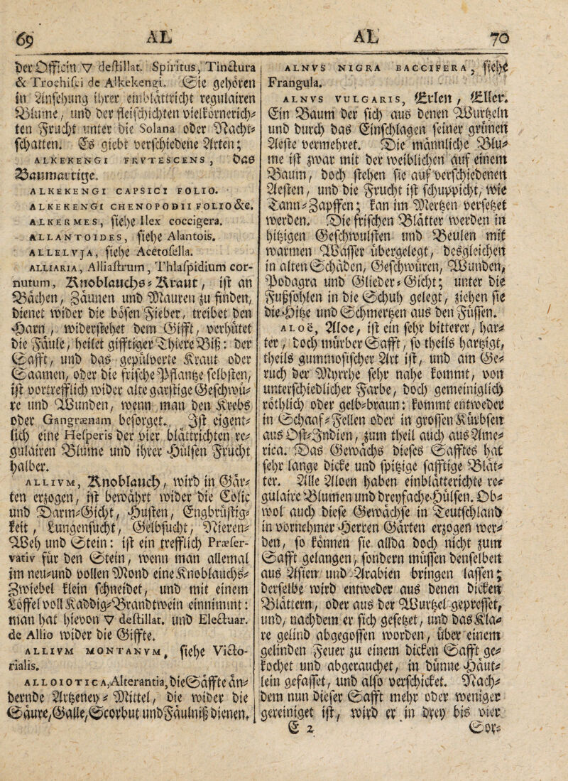 6p AL ■ a l)etDfftcin V defHllat. Spintus, Tinäura & Troehiili de Alkekengi, @ic (jcl)6tcn in 2infd)ung; ii>ter ehibidttridpt reguimten SSiume, urib bcv fleifd)id)ten weifornertd)^ ten Sruciji untet tue Solana oöer 3?αφί* fcfyatfem S& gtebt mfd)iet>ene Wirten; ALKEKENGl FRVTESCENS, O&0 23<mmai ttge, ALKEKENGI CAPSICI FOLIO. ALKEKENGI CHENOPOBII FOUO&e, alkermes, ftei)C Ilex coccigera. ALLANTOIDES, firf)i Alantois. Allelvja, fiel)e Acetoiella. alliaria, Aliiailrum, Thiafpidium cor¬ nutum, 2\noblaud>e»IXvaut, i|'t an Aachen, getanen uni) ‘Slawen ju ftnben, bienet wtber bis bofen Sieber, treibet ben φαΓη , wiberftehet bem ©tfff, mpt bie Saufe, Reifet gifftiger ^:f>ieee 33ifj: ber ©afft, unb bas gepüloerte Äraut ober ©aamen, ober bie frtfd)e ^flan|e felbftcn, ift oorireffltd) wtber alte garfttge @efd)wü# re unb ‘Ißunben, wenn man ben Ärebs ober Gangrsnam befolget. _ jft ctgent# ffff) eine Heiperis ber toter biaitriefffen re# guiatren Sßlüme unb ii>rer puffen halber. allivmj 2lnobi<md), wirb in ©ar# ten erlogen, ift bewahrt wtber bie ©bltc unb S)arm»©td)t, puffen, ©ngbrüftig» feit, £ungmfud)t, @eibfud)t, Vieren# Ώ-ßef) unb ©tein: tft ein trefflich Prsefer- vativ für ben ©tein, wenn man allemal im neumnb pollen‘Ddlonb eine£noblaud)S* gwiebel flein fthnetbet, unb mit einem £6ffel ooll Äabbigi^ranbtwein einnimmt: man l)at IfteOOn V deftillat. Ullb Electuar. de Allio wiber bie ©tffte. ALUVM MONTANVM, ftel)e Vlcto- rialis. alloiotic a, Alterantia, bie©flffte Λη» beruhe 2lr|enep# Mittel, bie wtber bie ©äure,@«ile,©PbrbW unbSäulntft bienen, ALI 70 ALNVS NIGRA BACCIFERA, fiel)b Frangula. ALNVS VULGARIS, (£vlett , ίΕΙίβΟ, ©in Q3attm ber fiel) aus benen ^Burkeln unb burch bas ©nfdffagen feiner grünen Slefte oermehret. ®iemannlicl)e 33lu# me ift jwar mit ber weiblichen auf einem Qoautn, bod) flehen fte auffoerfchiebenen Sleflen, unb bie Studff ift fd)uppid)t, wie £ann#gapffcn; fan im Klethen oerfefcet werben, SDte frifchen glatter werben in htbjigen @efc!)wulften ttnb beulen mit warmen ^Baffer übergelegt, beSgleicften in alten ©eftaben, ©efchwüren, ^unben, fjiobagra unb ©lieber»©id)t; unter bie Sttfjfoftlen in bie ©d)ul) gelegt, lieben fte bie-lDthe unb ©eftmerben aus ben Sttffen. ALoe, 2iloe, jft ein fet>r bitterer, har# ter, bod) mürber ©afft, fo tbeils h^rhigt, thetlö gummofifther 2(rt ift, unb am ©e# rueft ber sDit)rrl)e fel)t‘ nahe fommt, oon unterfcbieblidjer Sarbe, bod) gemetntgitd) roilfttd) ober gelbbraun: fommt entwebec tn ©d)aaf» Seilen ober in groffett Hürbfeit aus Dft»3nbien, jutn tbeil aud) aug^lme# rtea. iBaö @ewäd)ö biefcs ©afftet) |at feljr lange biefe unb fpt|tge faffttge ^ölat« ter. 21lle Slloen haben einblatterichte re# gulaire iölumen unb bret)fad)e-£)ülfen. Ob# wol aud) btefe ©ewdchfe in ,$:eutfd)ianb in oornehmer Herren ©arten erlogen wer# ben, fo fonnen fte allba bod) ntd)t jutn ©afft gelangen, fonbertt muffen benfelben aus äfften unb trabten bringen laffen; berfelbe wirb entwebec aus benen bieten blättern, ober aus ber 'üBurfjcl gepreffet, unb, nad)bem er ftch gefehet, unb baSÄla# re geltnb abgegoffen worben, über einem geltnben Seuer ju einem btefett ©afft ge# fod)et unb abgeraud)et, in bünne «öciuf# lein gefaffet, unb alfo oerfdftcfet. 3ftad)# bem nun biefer ©afft mehr ober wenigec gereintget ift, wirb er in beet) bis otec Sz ’ ©cw