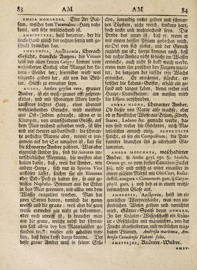 f AMBIA MO N ARD ES. QfwC 2ltt I23a(# fam, welcher bem Tacamahac -.fhatf? nabe fornt, unb fel)t wohlriechcnb ifi. A Μ B ID E X T E R , l)Ct|t bitjeBIfli , btt biC iincfcöanö gleich ber rccljten fertig unb ge# febtefjt brauchen fern; amblyopia, ’Ααβλυοκία, fctwacl) buncFele Siugenr biß Vitium helft bep alten Ernten Caligo: fommt pom »erbinberten ©nflfafj ober Mangel ber Ee# beus # ©eifter her; bievmtbcv wirb wol uirgenbs anbers l>er, als non ben SSril# Jett, ^tiffe 8U erwarten fepn. AMBRA, Ambra gryfea vera, gvatiet Sinibev, ift ein wet§# graues offt gefpten# efeltes, unb mit fd)wat|en Eibern burd)# lauffeneS leichtes -fSarp, eines überaus woi)(rkd)enben @erud)S, wirb meiftenS aus Oft#Snbien gebracht, allvoo es in Äiumpcn, pon untetfchiebener ©rofe, auf bem EÖleet tretbenb gefunben wirb, ift fel)r unb oiel tbcurcr alSbaS@oib: bie fd)war# pe ped)id)tc Materie aber, womit et ins# gemein auf ber ©ee umgeben ift, Ean für bie fd) umitjeElmber paaren. <3BaSaber eigentlich Elmbet fep, ftnb bie Amores un# terfd)ieblid)er EOiepnung, bie metfien aber halten bafftu, baj?, weit ber Slmber, wte anbere doarpe, ftd> nur tu Spirftu vini aufiofen läfet, folchet fiir ein Bitumen ober <£rb#E|3cd) ju halten fep, fo aus ge wiffett Nap itha- Brunnen aus ber ©rben in bas EOleer geronnen, unb allba oon bem EiCajfet coaguliret worben, ΕΟϊαη bat jwep ©orten baoon, nemiid) bie gane weijfc unb bie graue; weil aber bie ganfe weife entweber gar nid)t ju befommen, ober noch unreif ift, fo brauchet man nur bie graue, weid)e uebfl ber fchwar# tsen faj't allein bep ben EOlaterialijlen ge# funben wirb: muffen alfo gehalten wer# bett, ba§ feine Euft barju fomme. fOet he)fe graue Elmber tnup in feinen ©tu# efen, inwettbtg poder gelben unb fchwar# pen ^upflein, nid)t weich, fonbern hart, bod) (eid)t unb wohirted)enb fepn, 3)te Ejirobe beS guten ift, baf er, wenn er mit einem .helfen Pfriem geflogen wirb, ein Oe! oon fiel) siebet, unb ber ©etud) tugieid) gut i|l; hierzu fommet nod), bap ber rechte Elmbra nicht fo leicht im affer erweiche, and) nid)t fo baib weich werbe, wenn man il>n $mifd)cn ben Ringern tracti# ret, ba hergegen ber falfdbe wie EtBad)S ermeid)et. Sr erwärmet, ftärefet, er# frifchet bie EebenS# ©elfter, erhält ein ge# funb unb langes Eeben, bienet rntber oiel foaupt#£tancf()eiten: am metfien wirb bie Effenz oerfchtiebeo. ambra nigra, fcf>t»ari3er Einibcr. Ob btefer oon ERatur atfo wachfe, ober ob er EüufUidjetEÜSeifeauS^fauvgibetb, Storax, Ladano &c. gemacht werbe, ba# pon ftnb webet bie ©eiehrten, ηοφ ESta# tetiaiiften annod) einig, schvrtzivs fprid)t, es fep ein Compofitum; bie ;J)at# fumirer brauchen ihn jti ailerhanb @a# tanterien. AMBRA MOSCHATA, 11t 0 |'c!) C, b tt t Ct Elmbei·. IjC Ambr. gryi. opr. 3j. Mofch. Orient.gr. .w.pom befielt €anarien#gucf er 3iij. reib unb mtfd) es unter einanber in einem giäfernEOlorfel mit Olei citri, Rofar. deftill.anagutt. v.Cinnamom. gutt, ij.Caryo- phyll. gutt. j. unb heb eS in einem. wol)l# permachten ©lafe auf. ambrosia, ’Αμβξοσία, hctfl im Ct# gentlichen -IBovtPeiftaube, was pon un# |lcvbttcl)en dßefen gethan unb oerrid)tet wirb, (Sottet#©pet!e bepm homeko. 3n ber Kräuter #'IBifenfd)ajft ein Ä'räu# ter # @efd)led)te mit männlidten, pon ber §rud)t abgefonberten, unb weiblichen trag# baren Eßiumen. Ambnßa maritima, Am- liroßa Canadenßs Platani folio. AMBVBEjAE, Zvvättter#XOeiber. ntiv-