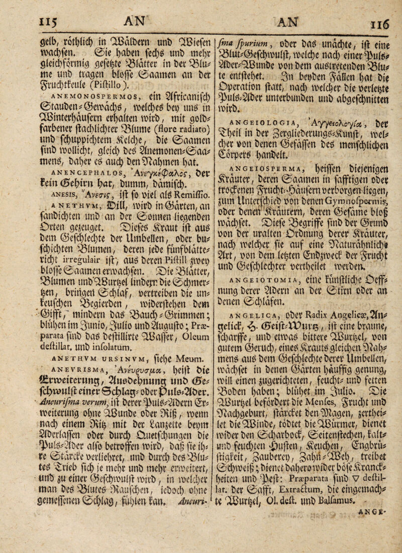 gelb, rotl)(icf) tn QBeilbern unb CiBtefen wachfen. ©te haben fed)S unb mehr gleichförmig gefegte 931atter in bet 9Mu; me unb trögen biofje ©aamen an bet grud)tfeu(e (Piftillo). ANEMONOSPERMOS, Cttt SifttCantfcl) ©tauben; @ewad)S, voe(d)cs bet) uns in dBinterhcrufetn erhalten wirb, mit goib; farbener flacl)lid)tet 931ume (flore radiato) unb fd)uppid)tem Äeld)e, bie ©aamen ftnb wolltcht, gicid) bcS 2lnemonen#©aa* mens, baher es auch ben 9tahmen hat. ANENCEPHALOS, ’AvtyK^XKoS , tW fein (Sebttti bat, bumm, bämifd). anesis, ’'AvE«f, ifi fö Ptel alSRemiflio. anethvm, jDill, wirb in ©arten, an fanbid)ten unb an ber ©onnen iiegenben Orten genüget, ©tefes Äraut tji aus bem @efd)ied)te ber Umbetlen, ober bu# fd)id)ten 93iumen, beten jebe fünfblatte; rieht irregulair tfl*, aUS beten Piftill iW«) bloffe ©aamen etwachfen. ©te Blatter, Blumen tmb,(2Burhel iinbepr bie @d)mer# ben, bringet! ©chlaf, pertreiben bte um feufd)en fßegietben, wiberflehen bem ·· @ijft,' mtnbern bas 93aud) * ©rimmen; blühen im Qunto, (Mio unb Siugufto; Prte- parata finb bas bejiilltrte 9lBö|fer, Oleum deftillat, unb infolatum. ANETHVM URSINVM, ftel)e MeiKtl. anevrisma, ’Ανέυξυσμα,, l)ei|i bte (Erweiterung, 2luebebnung unb (Se# fd)rvulfi einer ©d)!ag; ober Pule«2iber. Aneurifma verum, ift betet ^UlSdiibetn @t« Weiterung ohne dßunbe ober 9uj?, wenn nach einem Dri| mit bet £anjette bepttt Siberiajfen ober burch Ortetfchungcn bte ^uiSiSibee alfo betroffen wirb, bafj fte ilp re ©tärefe perliehret, unb burch bes 93 !u; teS Ovieb ftd) je mehr unb mehr erweitert, unb ju einer ©efdbwuljt wirb, in welcher man bes 9Mutes Öiaufchen, icbocl) ohne gemeffenen ©chiag, fühlen fan» Ansuri-1 fma ff urium, ober bas unad)te, ift eine 93lut;@efd)wu(|i, welche nad) einer 3)3ttis# SlbetvIBunbe pon bem auSiretenben'93(u* te entliehet. 3n bepben füllen hat bie Operation fiatt, nach welcher bte perlecte ^3uls>$lber unterbunben unb abgefchnittett wirb. angeiologia, ’AyyetoKoyict, bet 9rf>ei( in ber gerglteberungs^unfi, web eher pon benen ©efäjfen bes menfcbltchen Körpers hanbelt. ANGEiospERMA, hoffen btefenigcn Kräuter, beten ©aamen in fafftigen ober troefenen $rucbt;-£)mifcrn oerborgenliegen, jutn Unterfcbieb pon benen Gymnofpermis, ober benen '.trautem, beten ©efatne biof wachfet. ©iefe Sßegriffe ftnb bet ©runb pon ber uralten Orbnung betet Ärauter, nad) weld)er fte auf eine SRaturühnlid)« 2ltt, pon bem (cijten (Snbppecf ber 'Jrucbt unb @efd)ied)ter perthetlei werben. angeiotomiaj ettie fünjiftd)e Oeffs nung berer Slbcrn an ber ©tim ober an benen ©d)lafen. angelica, ober Radix Angelica,2itU* gelitf, ·ζ>· (Seift; tOuve, iff eine braune, parfjre, unb etwas bittere ClBurfel, pon gutem ©eruch, eines Krauts g!eid)ctr 9iol)* mens aus bem ©efchlechte betet Umbelien, wachfet in benen ©arten hauffrg genung, will einen jugertebteten, feud)t; unb fetten 93obeti haben; blühet im (Mio. ©te dBurhel beforbert bte Menfes, $rud)f ttnb 9utd)geburt, jiarefet ben Magen, äertixi; let bie'SBitrbe, tobtet bicdßütmcr, bienet wtber ben ©d)arbocb, ©ettenjiechen, halt# unb feud)ten fjuften, £cud)en, ©ngbrü« (iigfeit, Räuberet), 3ahn^3ißeh, tretbet ©chwetf; bienet bahero wtber bofe Ärancb* beiten unb dkjl: Prsparata finb V deftil¬ lat. ber ©afft, Extractum, bie cingewaci)* te 'iBurtjei, 01. deit. unb Balfamus, AN6E-