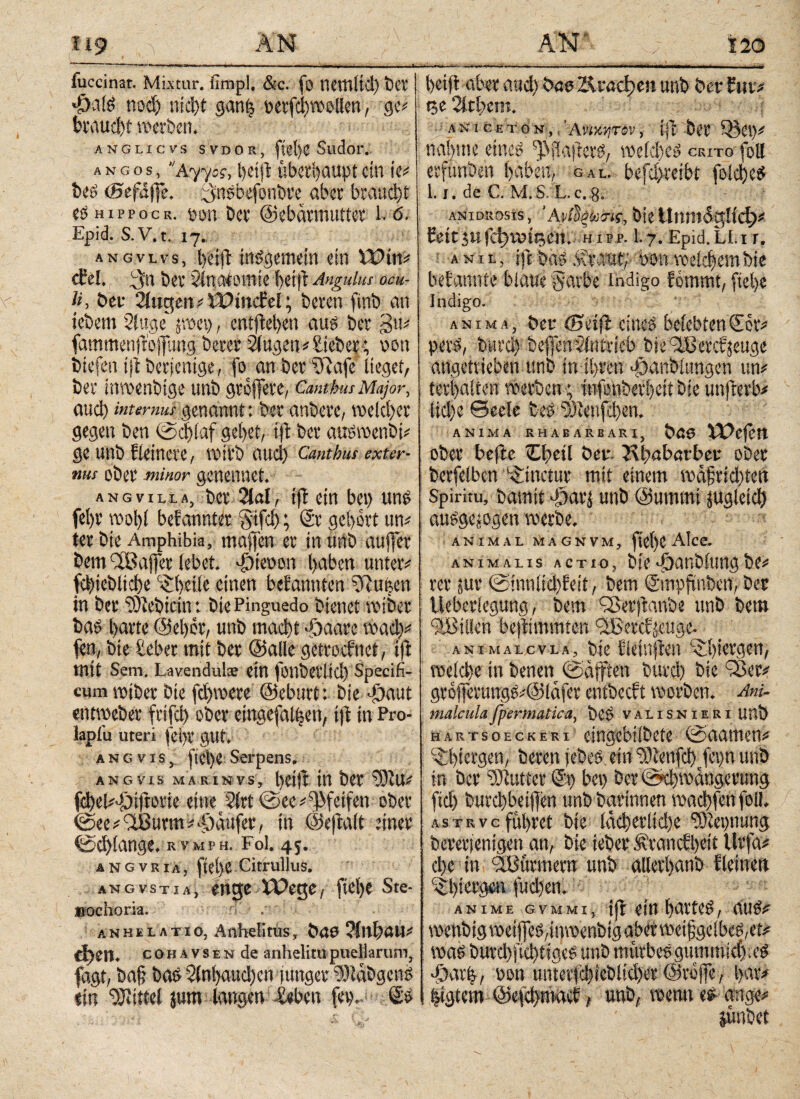 fuccinat. Mixtur, fimpl. &c. fo nctttltd) Der «£>a[S nod) ηίφί ganft perfcbwollcn, ge? braucht werben. anglicvs sVdor, fietje Sudor. a n g o s, “Ayycs, bei jl überhaupt ein ie? Des (Befäfje. igusbefonbre aber braucht es «ippocr. üon Der ©ebarmuttcr 1. 6. Epid. S. V.t. 17., _ angvlvs, beijl insgemein ein Wm cfel., Der 2inenomie betji Angulus ocu¬ li, Der Singen ?Winciel; Deren ftnb an ieDem Singe' jwei) , entjleben aus Der 3u? fammenjfbjfung Derer Slugen? Sieber; non triefen ijt Derjenige, fo an Der t>7afe lieget, Der inwenbige ttnD grojfere, Canthus Major, aud) internus genannt: Der anDcre, welcher gegen Den @d)iaf gebet, ijl Der auswenbi? ge unD Heinere, VOtrD aud) Canthus exter¬ nus ober minor genenuet. ang villa, Der 2lal, ift ein bet) uns fel)r wol)l befannter §tfd); Sr gebort un? ter Die Amphibia, maijen er in ürtb auffer Dem llßajfer lebet, dbicoon haben unter? fcbteDlicbe c£beile einen bekannten SRuben in Der $)tebicin: Die Pinguedo Dienet wiber Das barte ©eher, unD tnaebt däaare wad)? fen, Die lieber mit Der ©alle getroefttei, Ift mit Sem. Lavendulae ein fotlDerlid) Specifi¬ cum toiDer Die fd)were ©eburt: Die «Dant entweber frifcb ober eingefallen, i)t in Pro- laptu uteri jel>r gut. a n g vis, ficbe Serpens. ANGVIS MARINVS, t)eijt ttt Der SjRU? fd)ei?.öijtin'ie eine $frt @ee?^feifen ober (See ? üüuttu ? fjaujer, in @e|Mt einer (Schlange, rv mph. Fol. 45. angvria, ftel)e Citrullus. angvstia, enge Wege, fiebe Ste- »ochoria. Ί . anhelatio, Anhelitus, DöO ?inl>au? d)en. cohavsen de anhelitu puellarum, fügt, baf? Dad S(nbaud)cn junger DlaDgcnS «in Mittel jurn laugen lieben fei?.. So AN 120 beift aber aud) Deo Kracken unD Dev fuv? 15c 2ltbem. ; aniCETON,.'Awxjjrev, ifl Der Q3ei)? nähme eines fßjiaftcrs, wekl)es crito foll erfuttben haben, gal. befd)reibt fold)eS 1.1. de C. M. S. L. c. 8. ANiDRosis, ΆνίΙξο^ίς, Die Unm<5giicf>? feit5«fdjnneen. hipp. 1.7.Epid.Li.ir. a n i l , ift bas .traut,' bon welkem Die bekannte blaue §arbe Indigo fotnmt, ftel>e Indigo. anima, Dev ©etil eines belebtenSor? perS, Durd) Deffen vlntrieb Die'lBercfieuge angettteben tmb in ihren .ßanblungen un? terbalten Werben; infonberbeitbie unjterb? lid)c ©eele Des 93ienfd)en. ANIMA RH A BARBAR \y Dao XDejen ober befte Ztyeil Dev. Hbabavbeu ober Detfelben linetur mit einem wafriebten Spiritu, Damit ibavj unD ©umrnt wuglcid) ausgewogen werbe. ANIMAL MAGNVM, fiel)e Alce. animalis actio, Die•jbanbiungDe? rer jur Sinniidifeit , Dem (Snipjanben, Der Ueberlegung, Dem iSerjtanbe unD Dem Villen bejtimmfen ‘-tBercbweuge· animalcvla. Die Heinften ‘Sbtergen, welche in Denen (Säfften Durd) Die Oder? gr6jferungS?@iafer entbeeft worben. Ani~ malculafpermatica, DeS valisnieri unD hartsoeckeri eingebtlDete (2>aamen? ‘■•tbiergen, Deren jebes ein fiX>?enfci) Jei>n unD in Der Butter ©») bet) Der ©d)wängerung ftd) Durd)betflen unD Darinnen wacbfenfolf. astrvc führet Die lächerliche Dileynung Demjenigen an, Die ieDer Ärancbheit llrfa? ehe tn 'äBürmern unD allerbanD f leinen SJbtevgm fudjen. ANIME GVMMI, ijl ein hartes, aus? wenDigwetffeS,inwenDigaberweifeelbeS,et? was DurcbficbtigeS unD mürbes gummkba’S dDarb, oon unterfcbieblicber ©rofe, bav? ligtem ©efcbnwcf, unD, wenn es ange? lünbet