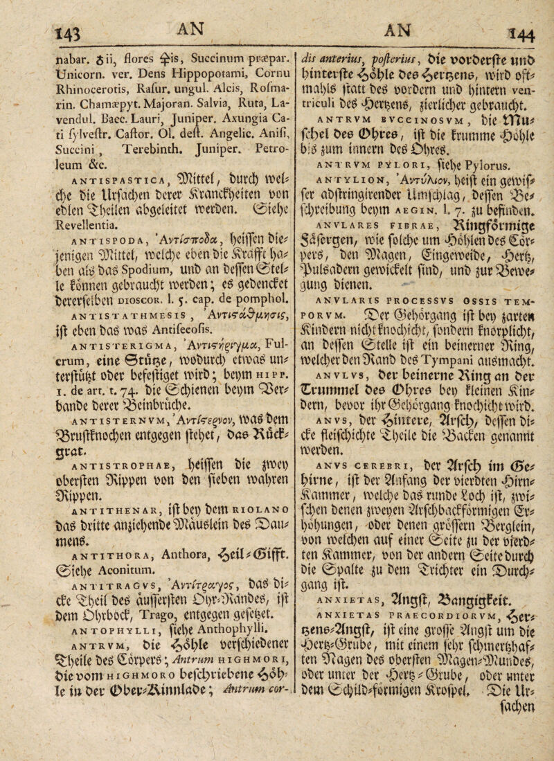 nabar, <$ii, flores ^is, Succinum praepar. Unicom, ver. Dens Hippopotami, Cornu Rhinocerotis, Rafur, ungui. Alcis, Rofma- rin. Chamsepyt. Majoran. Salvia, Ruta, La- vendul. Bacc. Lauri, Juniper, Axungia Ca¬ ti fylveftr. Caftor. Ol. deft. Angelic. Anifl, Succini , Terebinth. Juniper. Petro¬ leum &c. ANTISPASTICAj 93Ztttef / ÖUtcI) WÜ'' ä)t 6ie ttrfad)en Derer ixrancffyeiten Don eWen feilen abgeleitet werben. (Sie(>e Revellentia. antispoda, *Αντ/στΓodcc, l)et|Jei1 bte^ jenigen Mittel, wefctye eben .Die Ärdfftlja* ben afe Das Spodium, unb an Deflen@tei* te Eonnen gebrauchst werben; e$ gebencfet bereVfelben dioscor. 1. $. cap. de pomphol. ANTISTATHMESIS , ’ AVT&ci&flY]<Tt$, ift eben baö n>a£ Antifeeofis. ANTIS TERIGMA, ’AVT Ful- crum, eine0tut$e, tooDurd) etroaäun* tevffcüit ober befeftiget wirb; bepm hipp. i. de art. t. 74. Die ©d)ienen bci>m OSer* banbe betet Q3einbtüd)e. antisternvm, *Αντίϊεξνον, DetTt 95rujlEnod)en entgegen {lebet, Oae 2\ucE* gt at. ANTISTROPHAE, bte JWei) oberflen SRtppen oon ben fieben wahren fKippem ANTITHENAR, t(l bet) bCHt RI 0 L A N 0 bas bvitte anjiebenbe Häuslern Des 2Dau* antithora, Anthora, «£>eiU(Sifft. @tCl)e Aconitum. antitragvs, ’Αντ/τξαγος, ba$ bi* cEe c£i)dl be£ aujferjlen Otjr*9vcin&e$, i|l bem DbtbocE, Trago, entgegen gefegt. antophylli, pel)e Anthophylli. antrvm, bte «<^obIe oerfd)tebener ^l)etle be£ Sotpet$; Antrum highmori, t>iex>om highmoro befdjttebene U in Oer 0bervZ\innlaOe; Antrum cor-k dis anterius, foßerius, bte VOVOetile UltO btnterfle <5>o.ble Oee^ersena, wtrb oft* mai)l$ ftatt bes oorbern unb l>intetn ven¬ triculi be$ T)er^en$, jierltcber gebraucht ANTRVM BVCCINOSVM, bte febei Oee (Dfyvce, tjl bte Etutrtme T)ol)le b1$ jum tnnern Öe6 Obres. antrvm pylori, ftefye Pylorus. antylion, ’Αντύλισν, beijl ein gemtf* fet abflttngttenbet Umfd)lag, beflen ^3e* fdjretbung beprn aegin. l. 7. ju beftnben. ANVLARES FIERAE, Ringförmige Safergen, rote fold)e um fohlen best Cor* pero, ben Ziagen, ©ngeroetbe, £crt;, %Nulsabent gerotcfelt fint>, unb $ur S>3eroe* gung bienen. ANVLARIS PROCESSVS OSSIS T E M- por vm. . !5>er (Seborgang i)l bet) jarte« Äinbern ntd>t ϊηοφίφί, fonbem fnotpltd)t, an beffen ©teile ifl ein beinerner 9üng, welcher ben 9vanb bes Tympani att?mad)f. an vivs, öer beinerne Ring αη ber Crummel ben <Df>reu bep flcinen £in* bem, beüor tl)r@Ci)pgangfnod)k!)trotrb. an vs, ber Hintere, Qivfd), beflen bt* efe fleifd)id)te Lil)eile bte ^öaefen genannt roerben. ■’ ANVS CEREBRI, bCt 2itfctp tllt Ö5c# btrne, 1)1 ber Sinfang bete Pievbten φίηι# Kammer, roeldje bas rttnbe Vod) 1)1, pt* fd)en betten pepen 2irfd>bac?f0rmtgen Sr# l)ül)uttgen, -ober benen greftecn 'Rcvgletn, üon roelcben auf einer ©eite ju ber Pierb# ten Kammer, pon ber anbern ©ettebutcl) bte ©palte ju bem ividtter ein IDttvd)# gang ifl. anxietas, 2ingfl, 23atigigfeit. ANXIETAS PRAECO RDIORVM, ^ene#2Ing(l, i)l eine grofle ?ing(l um bte 'Öere#@rube, mit einem )el)r fdttnevbbaf# ten Φeigen bes oberjlen OjiageuilSiunbeg, ober unter ber -öeri; # @rube, ober unter bem ©d)tlb#formigen Ävofpel, Sie tlr# fad)en i