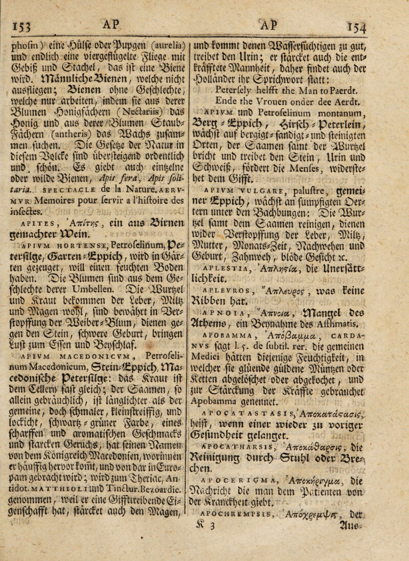 phofiii) eine dfnilfc oberpupgcn (aurelia) unb enbltd) eine oiergeflugclie fliege mit @ebi§ unb ©tadlet, bas ift eine hielte wirb. ϊΐΤάιιηίίφο dienen , welche nicht ausfliegen; dienen ol)ne ©efchlechtc, welche nuv arbeiten, inbern fie au? bercr Blumen «öonigfäd)ern (Neöariis) bas e&pnig unb au? berer Blumen ©taub? ?cäd)ern (antheris) bas 9ü3achS jufam? men fuchen. ©ie ©efche ber SRatur in biefem ©Qlcfe ftnb überjWgenb orbentltd) unb., fcl)ou. Ss siebt aud) einzelne ober wtlbe dienen, Apis fern, Apis feli- taria. specta.cle de k Nature.aerv- m v r Memoires pour fervir a l’hiftoire des iofecles. apites, Άπίτης, eilt ßltö 23tVtiett gemachter Wein. apivm hortense, Petrofelinum, Pe? teeftige, (Barten ?>£ρρίφ, wirb tn@är? ten gejeuget, will einen feuchten SSoben haben, ©te üßlumen ftnb aus bem @e? fchiechte bem Umbellen. ©ie 'iöut'ijcl unb Äraut bekommen bet beber, Wiilh unb “SRagen wo“$, ftnb bewahrt in ©er? flopffung bei* LIBeibct?Q3ium, bienen ge? genben©tetn, fchwete ©eburt, bringen buft jum ©ffen unb ^et)fc!)iaf. apivm macedonicvm, Petrofeli- num Macedonicum, QtcinAJzppici), tTTa? ίεδοηίΓφε Peterftige: bas Ä'raut ifl bem Seiler» fafl gletd); bet ©aamen, fo allein gebräuchlich, tfl länglichtet als ber gemeine, hoch fd)malet, fleinftreijftg, unb locficht, fchwarfj ? grüner garbe, eines fcharflren unb aromatifchen ©efehmaefs unb flatef en ©eruebs, hat feinen bitamen ponbem ivontgteichJOfacebonten, worinnen er häufftg beroot fomt, unb »on bar tnS’uro? pam gebracht wirb; wirb jum ^heriac, An tidot. m Ατ-r hi o l i unb Tinclur.Bev/jaidic. genommen, weil er eine ©iffttreibenbe®? genfehaflft t>at, ftarefet auch ben fragen, unb fommt benen SlBaffetfttd)tigen ju gut, treibet ben Urin; er flärefet auch &tr rnt? fräftete $R«nnheit, baher ftnbet auch t>et djollänber ihr ©prichwort flatt: Peterfely hdfft the MantoPaerdt. Ende the Vrouen onder dee Aerdt. ^apivm unb Petrofelinum montanum, 3erg ? ί£ρρίφ , &>ίν(φ ? Peterlein, wad)ft auf bergigt? fanbigt?unb fteinigten Orten, ber ©aamen famt ber ABurhet bricht unb treibet ben ©fein, Urin unb ©chmeifl, forbert bie Menfes, wiberfte? het bem ©ifft. apivm vulgare, paluftre, gemet? net* ί£ρρίφ, wächfl an fumpftgten Oer? fern unter ben 33ad)bungen: ©te IBur? hei famt betn ©aamen reinigen, bienen wiber ©erftepjfung ber Seber, “rOitlh, Butter, ‘D)ionatS?gett, sJiad)wehen unb ©eburt, gahnwel), blobe @eftd)t re. AP lest ia, Άπληςί», bte Unerfätt? !ici)fett. aplevros, ’Άπλευρος , tuae feilte Hibben hat. a p n 01 a , Amota, tTiangel bee Sitheme, ein 55e»nal)me be? Afthmatis, apobamma, 'Απόβχμμ,α, , carda- n v s fagt J. 5·. de fubtil. rer. bte gemeinen Medici hätten bieienige geuchtigfeit, in welcher fie gluenbe gitlbene OJlunijen ober Äetten abgelcfch-et ober abgefochet, unb jur ©färefung ber Ä’rätfte gebraudjet Apobamma genennet. apocatastasi Αποκατάϊασις^ / i>?enn einer meSer 3« voriger (Btfmtyeit gelanget. apogatharsis. 'ΑτιοκάΒο,ξσις, bte Hetmgtmg oöer Sre* dycip a p ö c e r i g m ä y ΐΰκν)ξ^μΜ 0 bte Nachricht bte man bem Patienten »on ber Ärancfl)ett giebt. apochremfsis, :Απάχξεμψκ, ber Ä 3 Sitte?