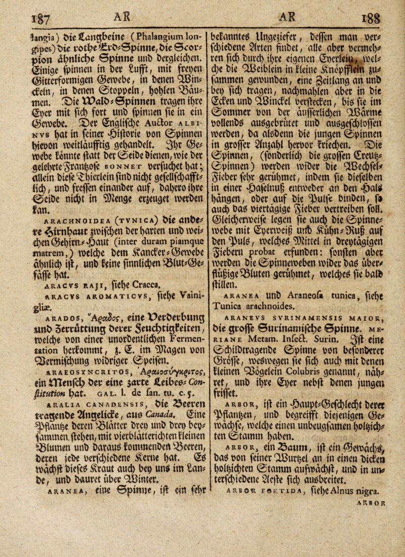 iangia) bie Haitgbetne ( Phalangium lon¬ gipes)^ νοφβ (£vb* Spinne, bie ©cot# pion ähnliche ©pinne uni) bergleichen. Sinige (pinnen in bet Stifft, mit fiepen ©itterformigen ©ewebe, in betten (IBin* (fein, in benen Stoppeln, hohlen Q)äu# tnen. ®te Walb# ©pinnen tragen ihre Spei mit ftd) fort unb fpimten fie in ein ©ewebe. ®er Snglifdje Auctor albi· n vs l)at in feiner ddtftorie pon ©pinnen bieoon wettiäufftig gehanbelt. S)t @e# webe tonnte flatt bei ©eibe bienen, wie bei gelehrte $ranpofe sonnet üerfud)cthat; allein bte(e ^bicrletn jtnb nicht gefcUfchajft# ftd), »nb freflfenetnanber auf, bal)iroil)ie ©eibe ηίφί in Stenge erjeuget werben fan. ARACHNOIDEA (tVNICa) bfe Ullbt# xe «Hirnhaut jwtfdjen bet harten «nb wei# d)en @el)it»# dSattt (inter duram piamque matrem,) welche bem .Suittctei’*©ewebe ähnlich ijt, unb feine ftnnitchen )23fut#@e# fc# Dat araevs raji, (tepe Cracca, aracvs AROMATicvs,· fiel)i Vaini- glläe. a r a d o s, 'Άξίώος, eine Perbevbung mb Seroittung betet $eucf>tigfeitcn, welche oon einer unorbentlicfyen Fermen¬ tation betfotnmt, j. S. im “tOtagen von ?Sermifd)ung wibttget ©peifen. araeosyncritos, *ΑξΜοσύγχξπος, ein tTlenfd) bet eine satte &eibeo# Con- fiitatiOH bat. gal. 1. de fan. tu, c. 5. A R ALI Α CAN Λ DENSIS, btt ScetCtt tragenbe 2lngelicfe, aus Canada. Sine ^fianpe beten glatter brep unb brep bep# farnmen, liefen, mit oietblätfetid)ten f feinen Blumen unb Daraus fommenben feeren, beten jebe oerfchiebene Acrtte l)at. So wädiji öiefeS Äraut aud) bep uns im Sans be, unb bautet übet ^Sinter. aranea, eine ©pinne, ifi ein feht befanttteS llngejiefet, beffen man net# fd)tebene Sitten fmbet, alle aber oetmcl)# ren ftd) turd) i()te eigenen Sncrleiu, wcl# d)e bte 'üBeibiein in fleinc ^ncpfflein ju# farnmen gewunben, eine geitlang an unb bep ftd) tragen, nad)mal)len aber in bie Scfen unb (JBincfel oerfieefen, bis fie im (Sommer non ber äujfcrltd)en 2Bätme pollenbs ausgebrütet unb ausgefchloffen werben, ba alsbenn bie jungen ©pinnen in grojfet 2(njaf)l herbor friedjen. ©ie ©pinnen, (fonberlicb bte gtoflen Cteup« ©pinnen) werben wibet bie '•JBechfef# 5'ieberfebr gerübmet, tnbem fie btefeiben in einer ÜDafelnuf entweber an ben -£>als bangen, ober auf bte ^ulfe binben, f» auch bas Piertägige Sider pertreiben foll. ©leicherwetfe legen fie aud) bie ©pinne# webe mit Sperweifj uttb £ühn#9\u§ auf ben ijJufs, welches '■Kittel in breptägigen fiebern probat erfunben: fonfien aber werben bie ©pinneweben wibet bas über# ftüfige Q3luten gerübmet, wetd)es fie balb (Wien. aranea unb Araneoßi tunica, fiel)t Tunica arachnoides. ARANEVS SVRINAMENSIS MAIOR, bte groffe ©uimamtfcbc ©pinne, m e- riane Metam. Infeci. Surin. eine ©d)t!btragenbe ©pinne pon befenberet ©rofie, weswegen fie ftd) aud) mit betten fleinen QSogeiein Colubris genannt, nab# ret, unb ihre Sper nebfi benen junge» fti|fet. arbor, ifi ein T)aiipt#@efchledjt betet ^flanpen, unb begreifft biejenigen @e# wäcbfe, welche einen unbeugfamen holpid)# ten©tamm haben. ahor, ein Saum, tjl ein ©ewäd)S# bas pon feiner dBurfeel an in einen bicieti l)D(pid)ten ©tamm aüfwädhft, unb in utv terfchtebene 2(e)le ftd) ausbreitet. arbor foetida, ftel)eAlnus nigra. ARBOR