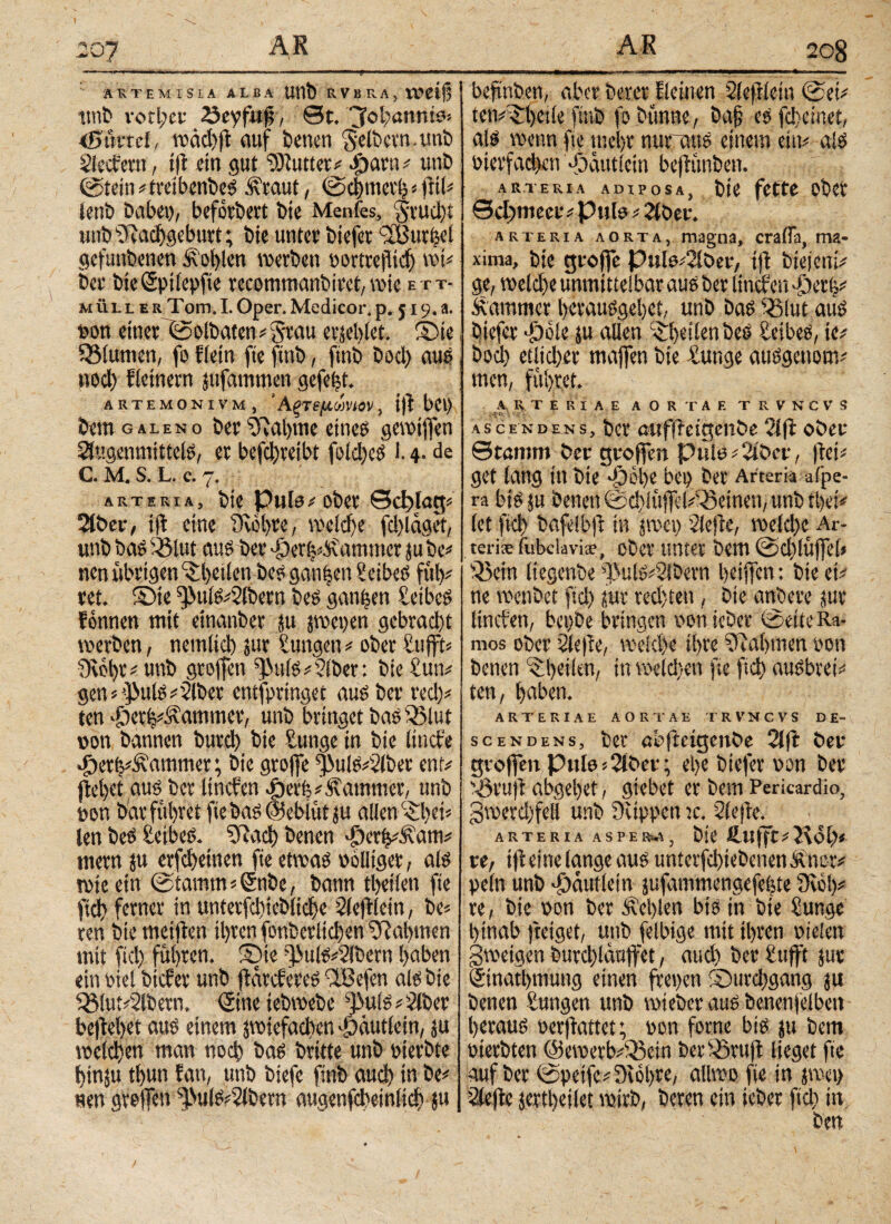 ARTEMISIA ALBA Uttt) R.VBRA, Weift ttnb vorher 23eyfuft, St. jfol^annies intet, read)ft auf betten gelbern.unb Slcctevn, ift ein gut SÖlutter# 4>arn # unt» ©tein#tmbenbeS Ävaut, ©d)tiict’b#fHl# lent» Dabei), befördert Die Menfes, jrud)t unD iftaeftgebutt; Die unt et Diefer Würbet gcfunDenen Noblen reerbett portreftieft rei# Der bie<2ptlcpfte rccommanbirct, rote ett- müuerTom.I.Oper.Medicor.p. $ 19.a. pon einer ©olbaten # grau erseblct. ©te SMunten, fo dein fte ftub, ftnb Dod> aus HOd) fletnern jufatmnen gefegt. «TEMONiVM, ’Αξτεμύνιον, ifl bet) Dem gal εν o Der sj?al)me eines gereiften ^ugenmittels, er befd)veibt fold)eS 1.4. de C. M. S. L. c. 7. arteria. Die Pula# ober Schlag» 2lber, tjl eine i)iei)te, reeid>e fdftdget, unD Das 'Alut aus Der >|?e%Svammer ju De# nen übrigen ^betlett Des ganben ieibeS fül)# ret. ©te ^uis#2lbern Des ganben ieibeS fonnen mit einanber ju jreepen gebracht reerben, nemlid) jur iungett# ober iufft# 0vhf)r#unb grofiett ^uls#2iber: bieiun# gen#’3>ulS#2lber entfpringet aus Der red)# ten >£ietb#.^nmmer, unD bringet DaSiAlut pon Dannen Durd) Die kungeln Die lincfe «£>erb#^ammer; Die grofle fj>uis#2(ber ent# flehet aus Der ltnefen Jberb# Kammer, unD pon Dar führet fte Das ©ebiüt ju allen c£l)ft# len DeS ieibeS. iftad) Denen £»erh#&am# rnern ju erfcfteinen fieetreas polliger, als tute ein ©tamm#®nbe, Dann thetiett fte ftd) ferner in unterfdiiebltcfte SlefHeitt, De# ren Die meiflen ihren fonberltcften Nahmen mit fiel) führen, ©te f)>uls#2ibern haben ein Ptel Diefer unD flarcfercs -IBefen als Die S8lut#2lbern. (Sine teDreebe ^iulS#2(Der befiehlt aus einem piefadten *5äutlein, ju reeld)en man noch Das Dritte unD pierDte hinju thun fatt, unD Diefe finb auch in De# neu greifen %'uls?2lbern augenfebeinltch ju beftnben, aber Derer deinen Sleftiein ©ei# ten#^rt)etle fiuD fo Dünne, Da§ esfeheinet, als reetm fte mehr nurnttS einem eitt# als Pierfacben Jödutletn beftünben. arteria adiposa, Die fette ober Schmeer# Pute # 2lDer. arteria aorta, magna, crafla, ma¬ xima, Die groffe Pute#2löer, t)l Dreiern# ge, reeld)e unmittelbar aus Der linefen djerb# Kammer berausgehet, unD Das i<5lut aus Diefer >£tele SU allen ^heilen DeS Leibes, te# Doch etlicher maften Die iunge ausgettom# men, führet. ARTERIAE AORTAE T R V N C V S ■ r y ^ ■ . · ascendens, Der aufileigenbe 2lfl ober Stamm Der groffeti Pute#2iber, flet# get lang in Die ddohe bei) Der Arteria afpe- ra bis ju Denen @d)iüfel#35einen,unD thei# let ftd) Dafelbft in pett 2lefte, roeld)ec Ar¬ teris fubclavis, oDer unter Dem ©dftüflel» Q3ein liegenDe d>uis#2lbern heiften: Die ei# ne reenbet ftd) sur rechten, Die anbere sur Itncfett, bepDe bringen ponicbcr ©eite Ra¬ mos ober 2(e|le, reelcle ihre Nahmen »on Denen ibeiiai, in welchen fte ftd) auSbrei# ten, haben. ARTERIAE AORTAE TRVNCVS DE¬ SCENDENS, bet abfteigenbe Ti ft fcev großenP«te*2U>cr; ct>c liefet \>on bev s^3vujt abgeljet, öicbct CV bem Pericardio, 3^crci)fcli unb üüppen ic, 7ίφ. ARTERIA ASPERN, Die £uffc#5\db# re, ifl eine lange aus unterfebtebenen Älter# peln unD Jjautlein sufammengefebte 3reft# re, Dte pon Der ^elften bis in Die iunge hinab fleiget, uttD felbige mit ihren pielen greeigen burdftaaffet, aud) Der Bufft jur dtnathmung einen frepen ©urdtgang ju Denen iungen unD reieDcr aus Denenfeiben heraus Perftattet; pon forne bis ju Dem PterDtcn @ereerb#s35ein Der s23ruft lieget fte auf Der ©petfe#Drehre, allreo fte in jreet> Stiefle serthetiet reirD, Deren ein teber ftd) in