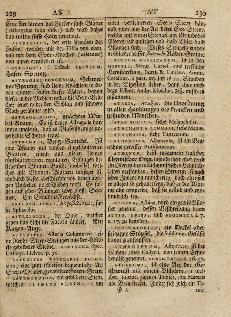 229 230 ©ne 5(vt t>ieöon t>at Sucfci'ifttffe Blatter (Aftragalus folio dulci) Uttfe Vt'tife feahvl' feas unlbe fttffe ^>oI«5 genennet. ASTRAGALUS, feet «(ίί ^]»θφ8Ι Σ'?? ■gufles, mcid)«r mit feer Tibia oon oben, tmfe mix feem @por#Äned)en (caieaneo) üon unten oergiiefeert ift. ASTRAGALI f, Talcoli LEPORUM. <&afeit ©prang. ASTRAGALI PORCORUM, ©CiJWet* »e* Sprung, ftnfe Heine .^noefeiein tn fee# nett hinter * puffen feiefer effeicit, bcummi fetefer in feer ^lefeicin mifeer feie^emAßrm d)ef jener roifeer feen ©efeiag unfe ’fdjwere SRotl) gerubmet würfe. ASTRAGALO!DES , UltÄC^teO XOlV* beb2\rnur. <Se ift fernen Aftragalis fear# innen ungleid), feaf es iöiafenformtg« uw geteilte ©d)oten tragt, ASTRANTiA, Serg?©antcErl. 3ft eine ^ftanije mit rnnfeen etngifd>mttewn SöicUtern, einem aus bieten Heinen rünfbiatterid)ten regulairen t'ölumgen bc* tefeenfeen 53iumen^ufd)e (umbella)1, mU d)er mit iölumen * SMattem umfefeet ijt, voofettrd) fetefeS @cfd)ietbte son fernen tibri? gen Umbellen unterfd)iefeen wirb. <£s fob gen auf jefeeS Üßiümaen svoej) blofie ©aa* men. ©n ©taufecn^Sewacbfe. a s t r 0 b 0 l i s u v s, ’ Αϊξοβολισμος, fie* bc Sphacclus. ASTROEui-us, feer Om>rroelcfeer gegen fege iid)t feie Sarbcn änfeert, ißin 2Raeen#2tuge. ASTROiTES, Aftern Columnaris, tU ne fnei)l)e ©terni©tetngen aus feer $iffe rte gebilfeeter ©teine. schelchz. Spee. Lithogr. Helvet. p. 31. ASTROITES TABULARIS BOCCQ- »is, einejum febieifen bequemitd)e 2itt ©terw©Aaften,getafelter©tetm*©tdn,, a s t r 0 p 0 d i u m, ein gebilbeter ©tetn, L U I © l ü S KLEIN I U S tyQf einen berfteineiten ©ee * ©fern Igß, unfe pajt aus feer 2(rt feerer ©ce#©ierne, weld)e mit einem ©tengei am ©rmtfeefees leeres feit anftel>en unfe halb ^feier feaib ^fiaufeen ftnfe. Tiefes ©tengels ein|ei# -ne ® lieber fytffa&eroe&J&itbevs&teim. AS TRUM DUPUCATÜM, jjt \\\ bCH Mi.scBLL. Natur. Curioi! eine ^erfellatefimg, batju ψ TinSur. Antim. Corailior. a pari, seq. |a§ C5 24* ©timbetl tn bet ©tgeliton )M)en , bann t{>ue ηοφ ba|U Effent. Ambr. Mofchat. 5iß, tltifd) Cg jufammen, ataxia, [Αταξία, bte i!novbnung in allen kaltblütigen &c$ fransen nn& gefnnben iTlenfc^eiu a ter succus, ftei>e Melancholia. ■ ATHA' Μ A-N TA UNNA E I g MeU£R> Athanasia, ftel>e Tanacet um. - AT H AN A S I A, 3AS-avaerfa, ift nannte gen>t|]et Antidotorum. athanor, ()ei|t insgemein kgitcfcet <ll)pni(d)ct ©fen/ infenberbeit aber ein Öfen jn b i d>i> e n ^ et mi t φ ^ feiten ^etlianben, bejfen ©tmctuv ülnadi jebet> Snücntton manct’etieby boeb aber foß et allezeit fo gebauet fenn,. baf? 4t bie 3δάι> m alfp tempettvc/ ba| jlejcfab unb -m* tinnitiid) a t h ena, nnvb ein jia genennt, befen i^efd)teibtmg bepm AETIOj O RIGAS, UHb AE GINETA 1 c. 17, ju bieftnbeth a ύ « e n a t 0 ii i um j ein ©ecEei ober fpt^tger Btopfel} bie Sublimir. @efaf]e A T H E NIE P U M , *A&YiVtTr-iCV, ift ha ?Äai)me eineg Col%rü, non feinem Sirftn^ bet affo genennct. sc r i b. l a r a n. 26.27. λ tu er ο μα, ί|ΐ eine 2irt Oer 0e* fe^reulfi mit einem ^IdAlein; in wk djeiy in einet eigenen Tunica, eine Materia als Sinbet fiel) fo(d) ein Tu- ψ 2· .raor.