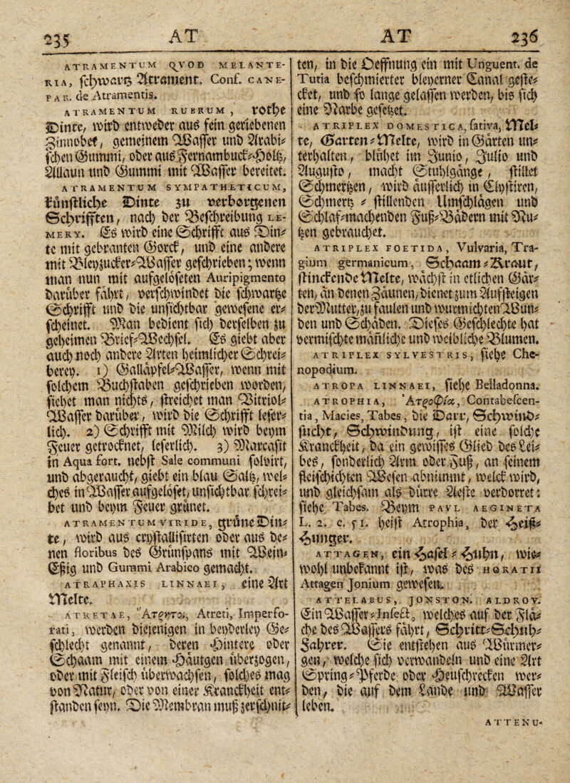 ATRAMENTUM qV O D METANTE- ra,\, fcfeveare 2itvamenr, Conf. ca-ne- p a r. de Atramentis. atramentum RUBRUM, VOtfeC ©inte, wirb entweder aut? fein geriebenen ginnobet, gemeinem dBaffer uni) 2lrabi# fd)en@ttmmi, ober mtSgernambucNDoil, Sfllaun ttnb ©ummt mit dBajfer bereitet. ATRAMENTUM S Y Μ P A TH.ET l CUM , iunjtlicfee iDinte su »erborgenen ©cfenfften, nacl) ber ifBefcfereibung le¬ ih e r y. ©s wirb eine ©chriffc aus ©in# te mit gebrauten ©orcf, unb eine anbere mit 2Met)Pikcr#dB affer gefcbrteben; wenn man nun mit aufgelofeten Auripigmento baruber fahrt, oeifchwinbct bte fd)war|c ©d)rifft unb bte unftd)tbar gewefene er# fd)einet. ®an feebient ftd) bcrfelben p geheimen iöricf#dBechfc(. Ss giebt aber audjned) anbere Sitten heimlicher ©d)rci# bevei). r) ©aUapfehdBaffer, wenn mit fe(d)em iöuchftafeen gcfchrieben werben, fiehet man nichts, flreid)et man dMtttol# dB affer baruber, wirb bie ©d)rijft lefer# liefe. 2) © efevifft mit dßtld) wirb bepm ^cuer getrocknet, (efertid). 3) 5Dtorcaftt tn Aqua fort, nefeft Sale communi föloivt, unb abgeraucht, giebt ein blau ©alb, weh dies mdBafferaufget0fet,unfid)ibar fdftei# bet unb bepra fetter grünet. Λ T RAM E N 'Γ U Μ V IRIDE, ΕξΙ'χΙΠί SDP# te, wirb aus crpftallifirten ober aus bc# nen floribus bcS ©rimfpans mit dB ein» ©ftg unb Gummi Arabico gemad)t. atraphaxis linnaei, eine2irt tTieltc. λ t r e t a e ,  kxqrft«, Atreti, imperfo¬ rati , werben biefentgen in bepbcriei) @c# fdflecht genannt, beren Ohintere ober ©chaam mit einem ^autgen uberpgen, ober mit gleifd) überwad)fen, feld)eS mag »ontftatur/- ober non einer Sicancfheti ent# ftanben fepn. Sie Sftembran mujj jerfdpit# ten, in bie üeffnung ein mit Unguent, de Tutia befchmietter bleperner Canal gefte# eket, unb fo lange gelajfen werben, bis ftd) eine Siarbe gefe|ei ATRIPLEX DOMES T IC A.iativa, tHefe te, (Sötten# Hielte, wirb in ©arten um terhaften, blühet im Sunio, 3ulio unb Sluguflo, mad)t ©tuhlgange, füllet ©d)metf$en, wirb aujferikb in Clpftiren, ©chmern # jlidenben tlmfd)lägen unb ©d)laf#mad)euben §u§#iQ3abern mit 'Siu# |en gebrauchet. atriplex foetida , Vulvaria, Tra¬ gi um germanicum, =©cfeööm#2ir<Htt, fHncfcndc Hielte, wad)ft in etlichen @är# ten, an benen Saunen, bienet pro Sluffteigen berdRttiier,p faulen unb wurm ich tendBun# ben unb ©dfäbcn. StefeS @efd>led)t« hat oetmifefete maftiiefee unb weibliche Blumen, atriplex sylvestris, ftefes Che- nopodium. atropa linnaei, ftefec Belladonna. atrophia, ’Ατςσφίχ, Contabefcen- tia, Macies, Tabes, bte iDöl't', ©efevotnö# fuefet, ©cfewmbnng, tjk eine foldfe firanckbeit, ba ein gewtffes ©lieb beS Sei# beS, fonberlid) 21t tu ober 5uf?, an feinem f.etfd)id)tcn dBefen abnimmt, welch wirb, unb gleichfam als bürre Slefte oerborreit ftefec Tabes. Q3ei)m pavl a eg in et a L. 2, c. fl. feetft Atrophia, ber «Jei## •junger. attagen, ein 4>afd(fottfen, wie# wol)lunbekannt tfb, was beS hokatii Attagen Jonium gewefeu» attelabus, joX'ston. aldrov. ©ndBafferMnleö, welches auf her Vvkv chebeSdBafferS fahrt, ©cferttr#©efe«h# Sahrer. ©ie enifrefeen aus dBfmuer# gen, weid)e ftd) ocrwanbeln unb eine 21 rt ©pring^ferbe ober ^Aeufcfevecfen wer# ben, bie auf bem taube unb dBaffer leben. A T T E N U-