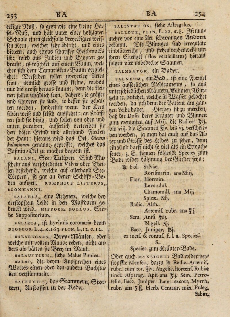 ecfigte fftuf, fo gwf rote eine Heine φα* fei*, unb l)rtit unter einer fyuffjigten ©cbaale einen gleichfalls bmjecfigien weif# (entern, »e!d)et febroi)üd)t, nnö etneö bitter» / auch ctwao fcbarfcn ©efcbmacfö ift; wirb au$ 3nbren unb (Senaten ge* wadf, e£ tnacfyet auf einem $5aum,»el* d)er frei) bem ^amartefen»Q3aum verglei* efet: Serfelben füllen pet)erlet; Slrten fet)n, ne tn lieb greife unb fleine, mono» nur bte greife beraub fomtnt r trenn bie lieb nen feilen fefabitei) fei)», ba|ero, ie grofer unb febwerer fte finb , te befer fie gcbal* ten »erben, fonberltd) »enn ber Sern feiten »ei§ unb frifei) aPfieljet t an Ära# ten finb fte bifug , unb feilen een obetumb unten purgiren, auferlicl) vertreiben fie' ben befen @t*inb unb aüerbanb fsleeben ber^autr hieraus »irb bas Del, Oleum baknimm genannt;, geprejft, »elcbeO bas Safmtn * Del tu machen bequem tft. balani, See;Cultpen. @iub‘ÜÖte fcltelu aus verfd>tebenen Valvis ober c£l)d* len befebenb, »eiche auf allerbanb @ee# Corpern, fo gar an benen @d)tp *33o* ben anfiben, *υmf«ms usterus, SUONNANNI, ealanus,, eine Sixfeenep, meid)ebei) sexpopftem Uibe in ben Sftlapbaxm ψ bXUCft νυίνϊ). H1PPOCRv POllux». 0ie*· |e Suppofkormm, b alari a^ ip Lychnis coronaria bei)iU ■D I O S CO Ri L.4, C. I 6 Ji P L I N. L. I 2. C. 1 2. B AL AT R ONES:, 23 t , ObCX tt>e(d)e mitoellem ς))Ιαηθς xebern, ηίφχ an* Seit atö i)dtien fte ^Sveiy im 9)laut;. balaüttiuMj. ftei)e Malus P uni ca. b a Lji , Die bei)tn 5iu${pxed)en eiltet iJBoxteo- einen ober ben anbexm ^3ηφρα* feen oexPummelm ralbut ieSj. ba$0rammevn/ 0eox* mn) 2inft<#u in Oev bal istae OS, fiet)C Ailragalus. BALLOT E , P L I N. L, 2 2. C. g» 3P nUtt* mel)to oox eine Sfxt fclyroav^en Qlnbom btfannf. ©ie Sinnigen finb feegulaix einbiätierici)t’, unb pel)ea m^enro# um il)ren 0iengel (flos vertidilatus) bitxauf folgen biex unbebeefte 0aametL balneator, ein 23aöeu; B AiN e um ein 23aö, ip eine ^fexmef ^ebtomentf* fo cn|e un tet fclj i et» ίί cf>e n vau tern Λ ^>1 ü m cn; >LBur ^ feein bepel)üt mt&i in Gaffer gefod)et mxbm, ba ftd) bennbet ^afient am gan* feen Seibe.habet., hierbei) ip p mexefen, bie Doiis bexex föautet unb 53lumep jum voenigpen auf Mxij. bie Radices 5vi· bio vii). bie @aamen fj^. bio vj. uetfcljxie* ben mexben / ja man l>at and) auf baö %U tex unb@xofie &es Seiber fel)en, benn eih^in^baxff nid)t fo uiei ate emSxmad)^ fenee, formen- foigenöfe Species juitti igabe mba Salmling bex@lieSex fegn; Vfc Fol Salviae; Rorifmarin; anaMiijt Flor. Mormini LavenduL Chamomiil. ana Mijf Spic^, Mj* Radic, Alth.« ArtemiC rubr. ana fiy Sem. Aniii Jiij, * Bacc. Juniper. Jßji. ex incif. Sc contuh £ 1. a» Speciei Üb ex' aud) * my ns i c h t.x 95ab mibex beX^ pOpffte Menfes , baxjU Radic. Artemi£ rubr. cum tot, ijv.. Angelic. Horten £ Rubi^ tinä; Afparag, Apii ana 31]; Sem.. Petro-* -feiin. Bacc. Jimiper. Laur; exeorn Myrrh* .rubr. ana Jiß, Herb. Centaur, min. Pnleg*